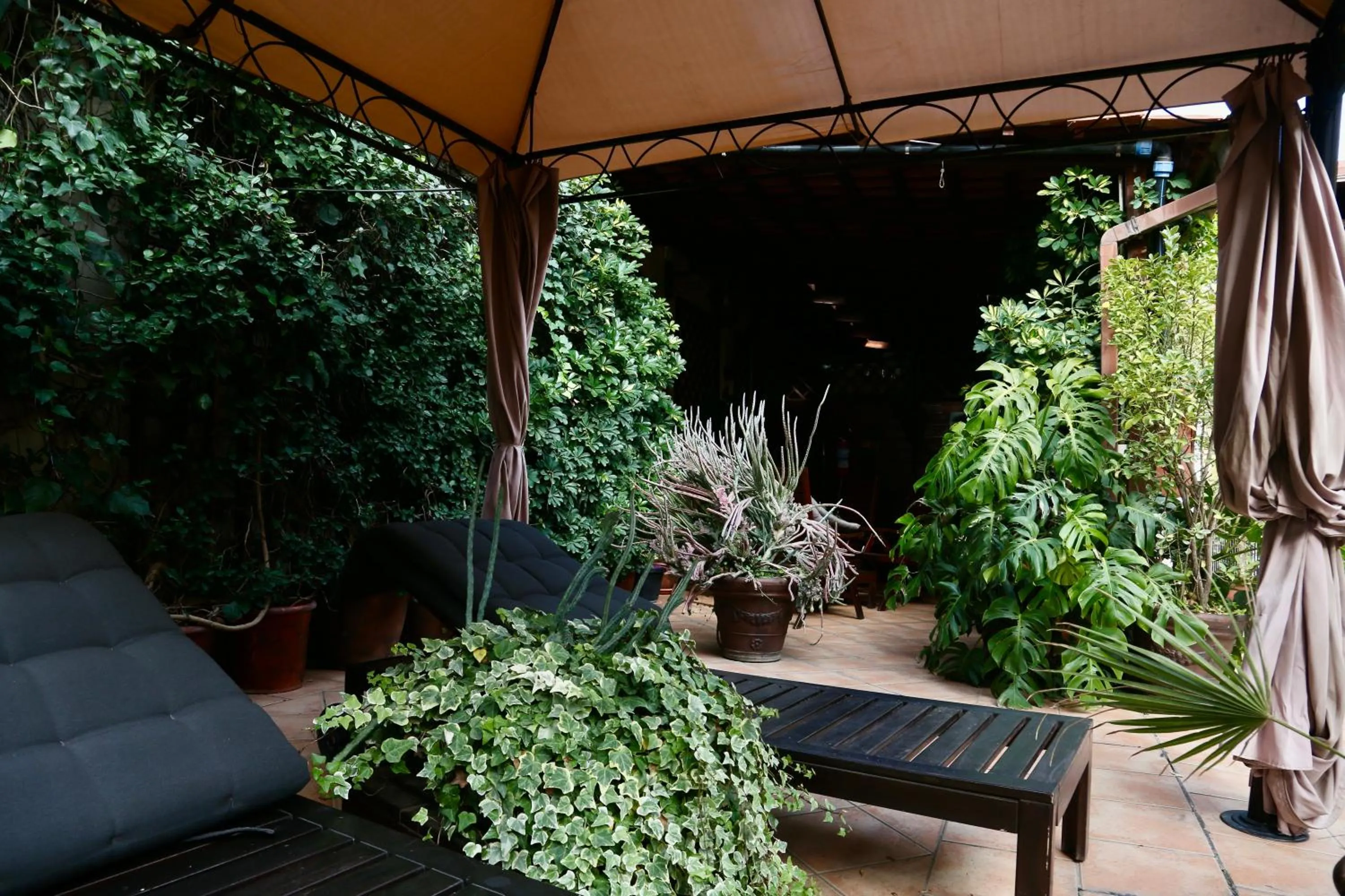 Solarium in Hotel Amadeus