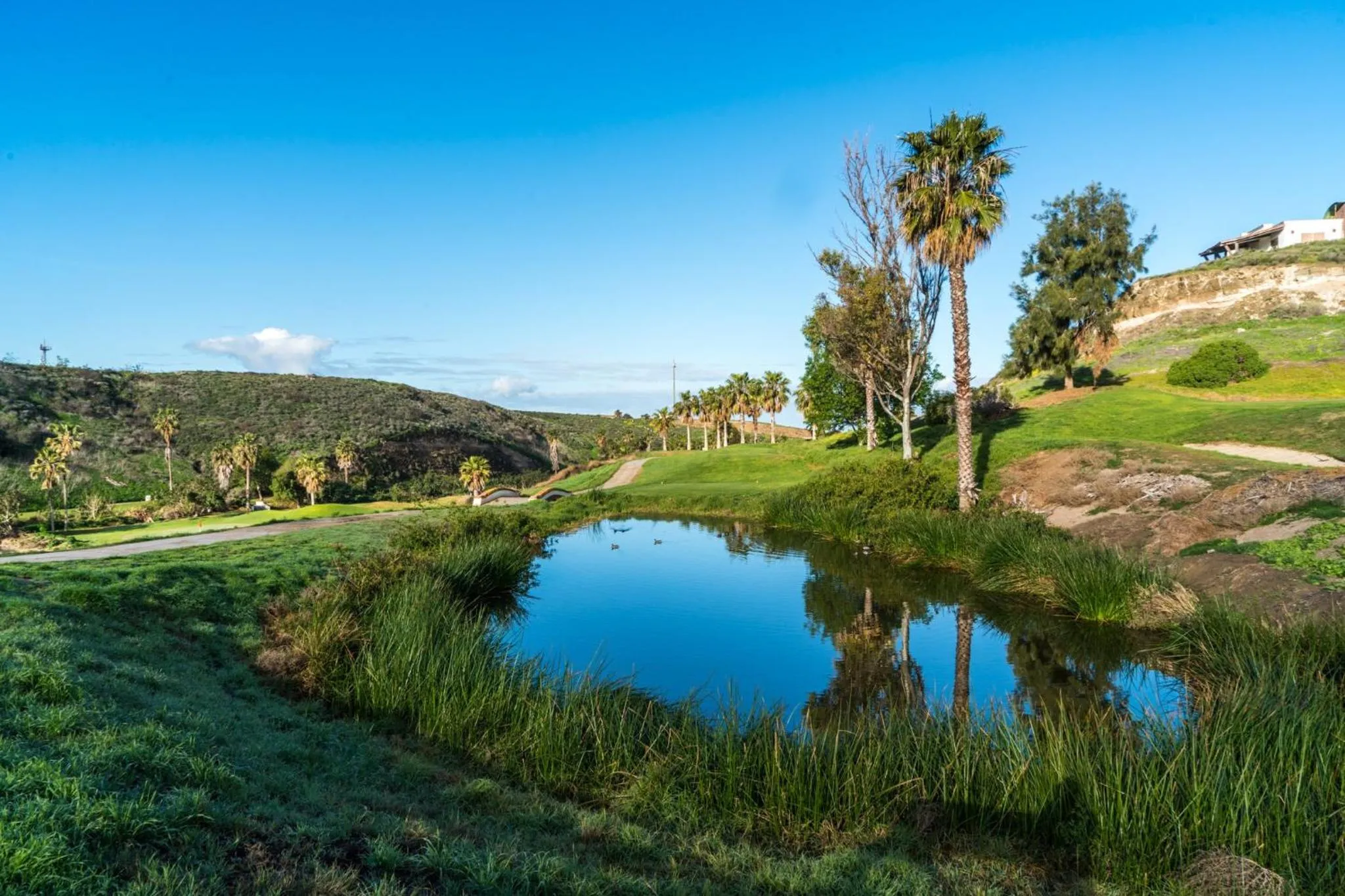 Natural landscape in Real del Mar Golf Resort