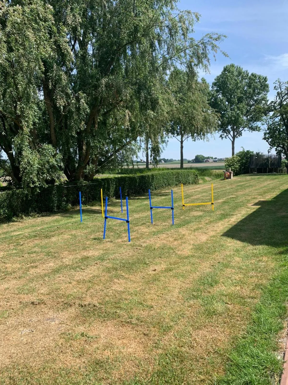 Garden in B&B De Kaagse Koe