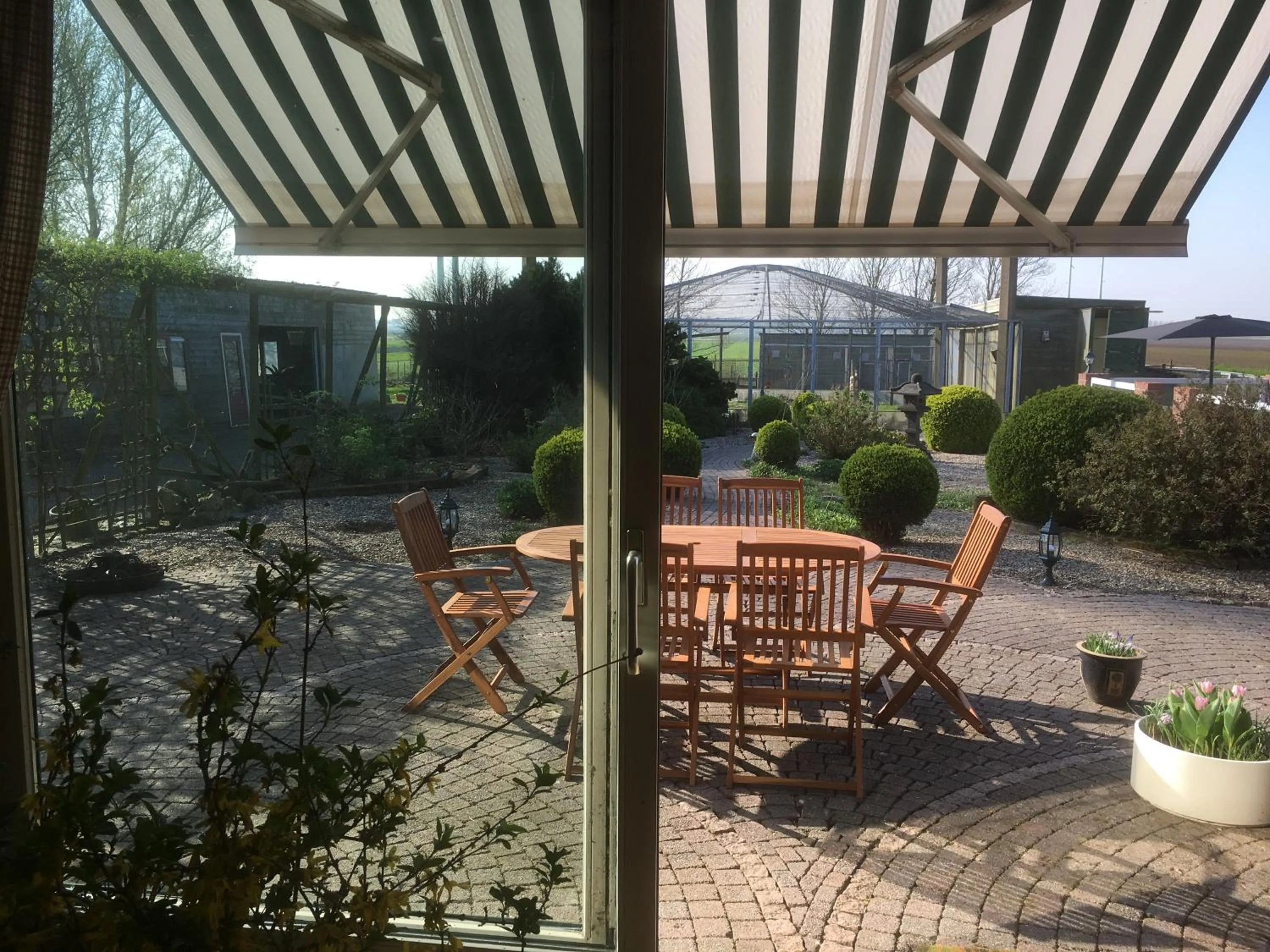 Patio in B&B De Kaagse Koe