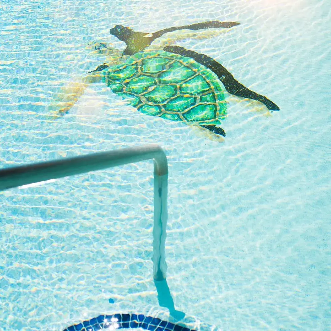 Swimming pool in Sea of Cortez Beach Club Swimming pool in Sea of Cortez Beach Club