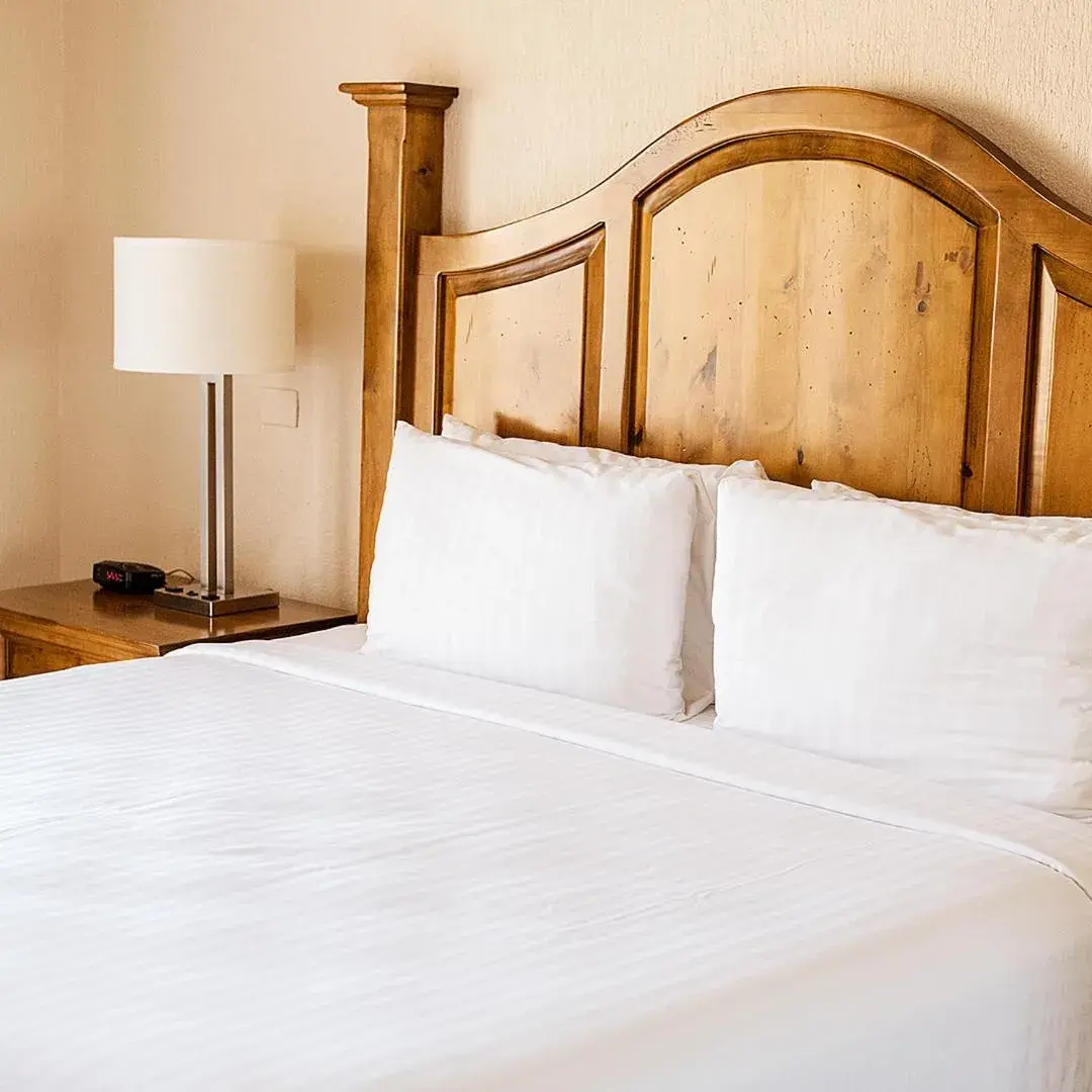 Sea of Cortez Beach Club Sea of Cortez Beach Club