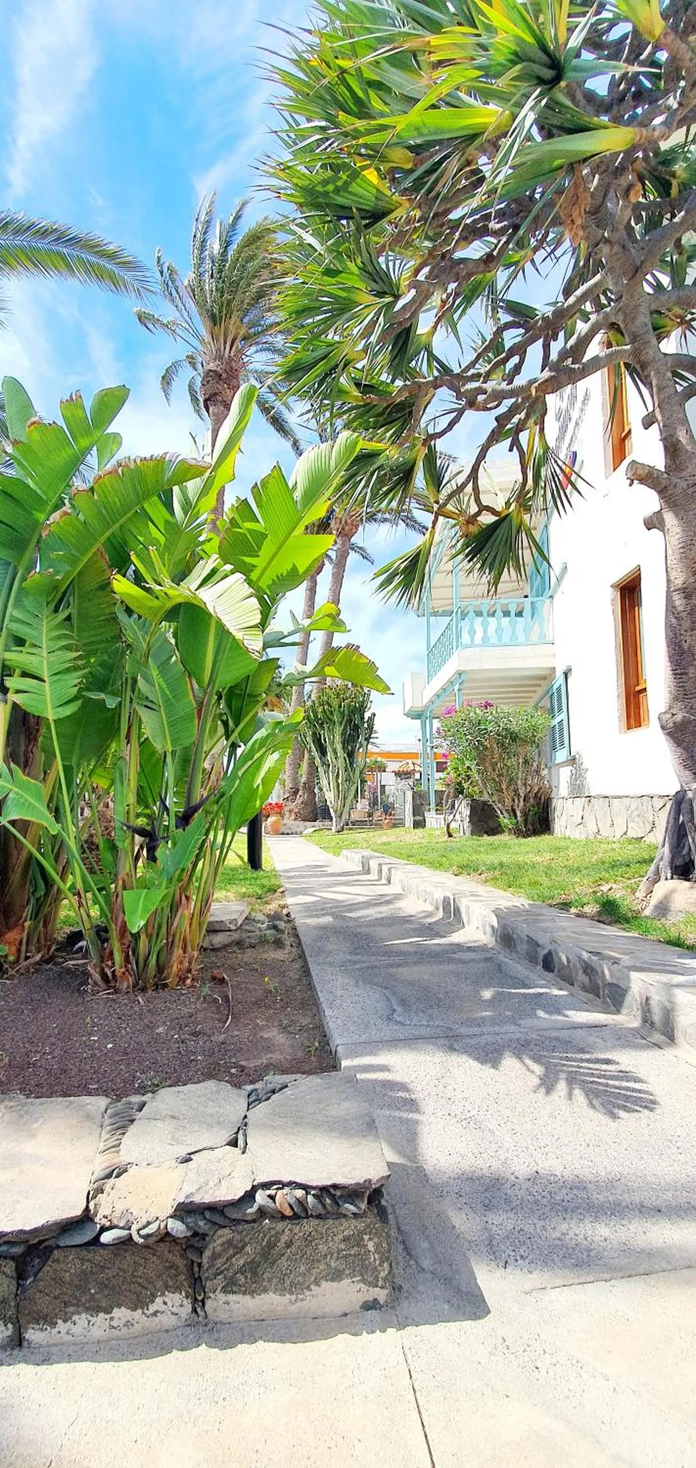 Garden in Apartamentos Casas Carmen - Adults Only