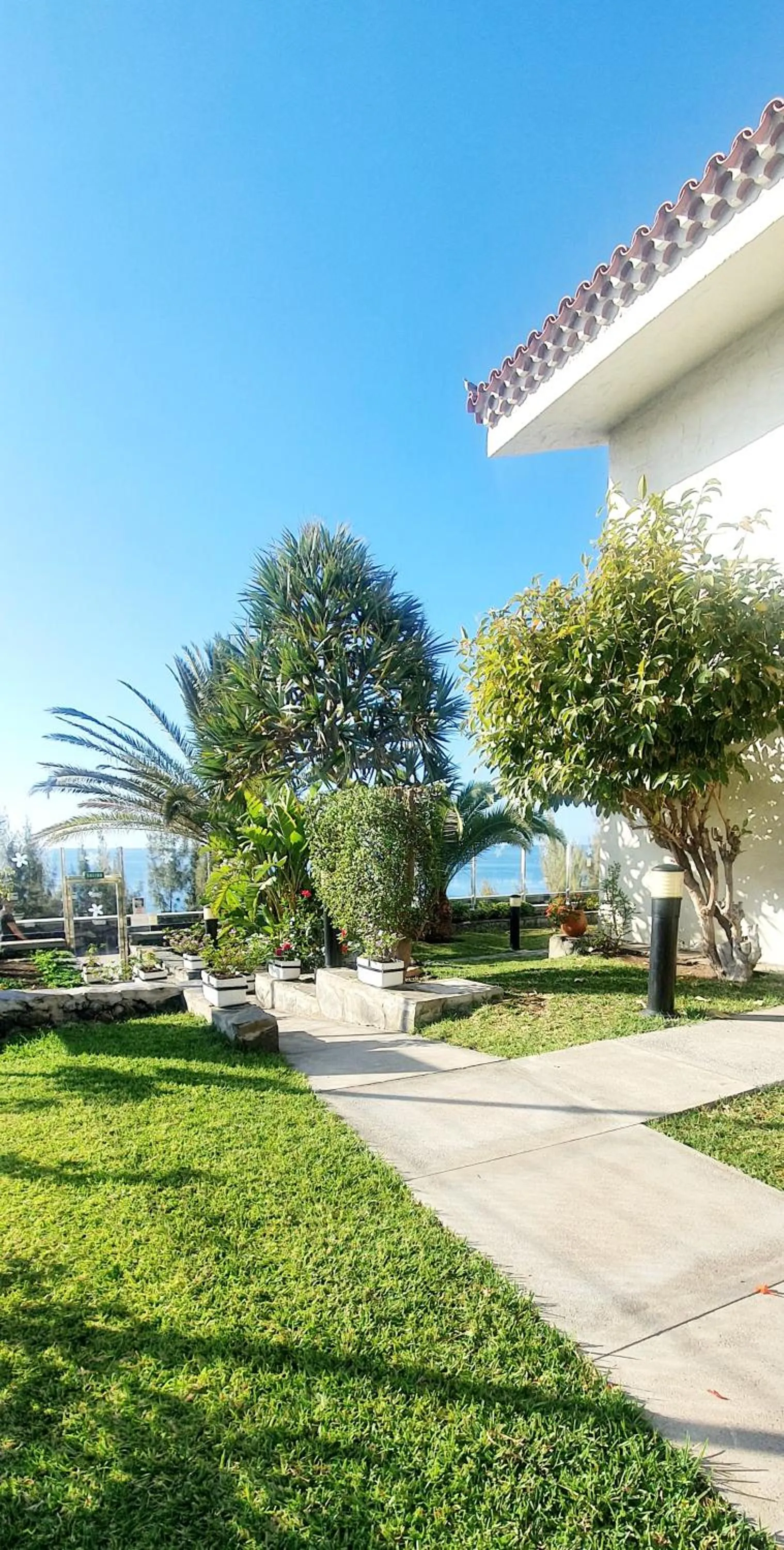 Garden in Apartamentos Casas Carmen - Adults Only