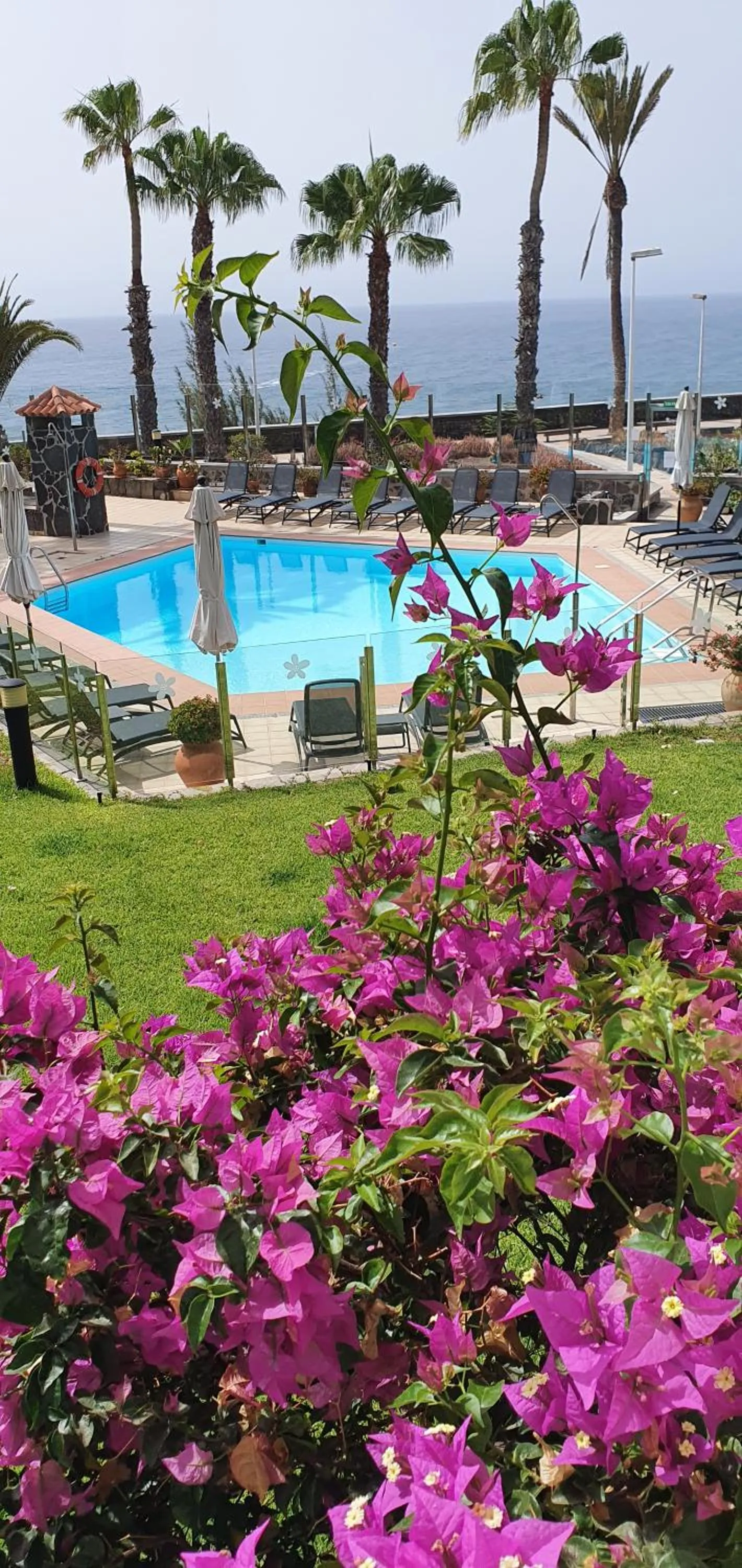 Garden in Apartamentos Casas Carmen - Adults Only