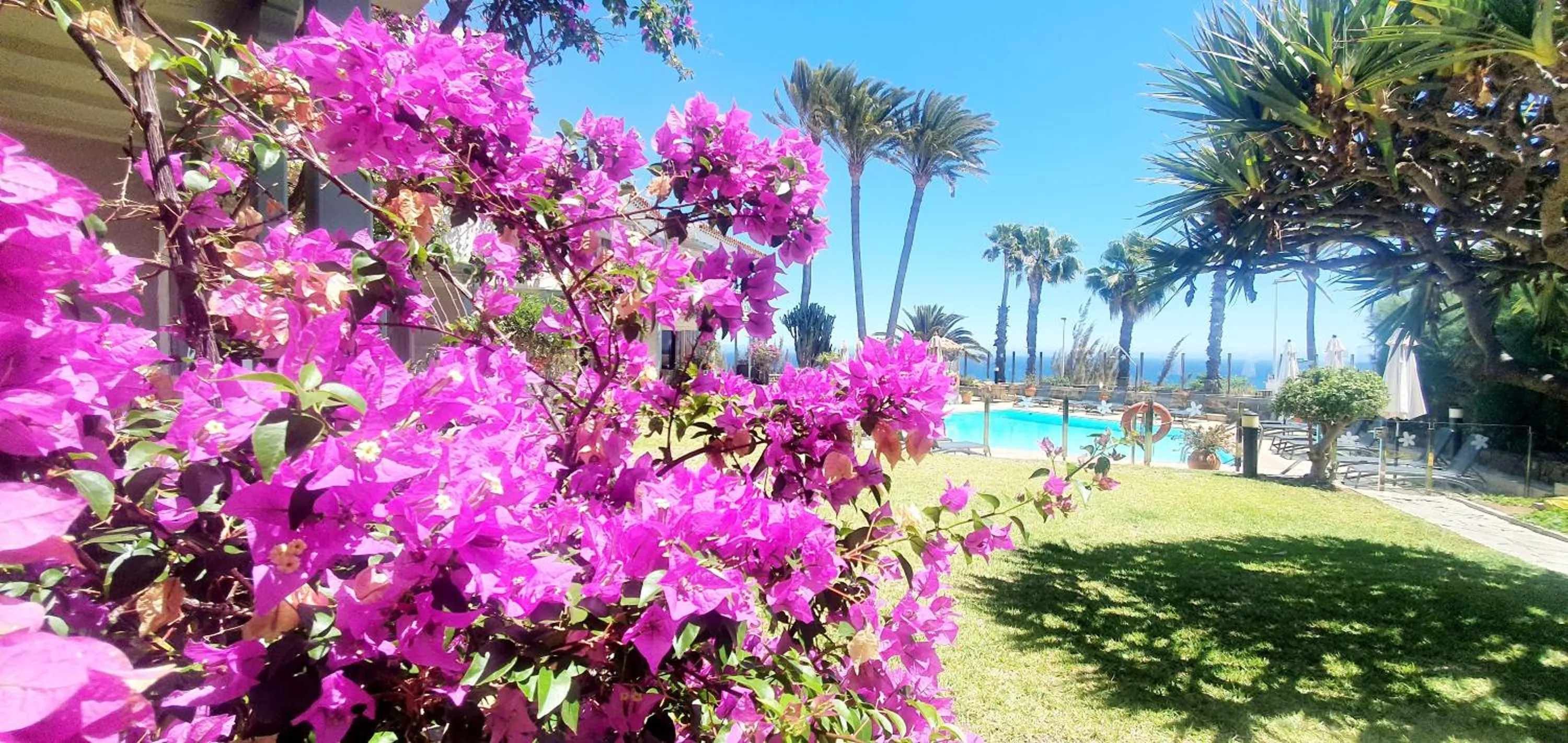 Garden view in Apartamentos Casas Carmen - Adults Only