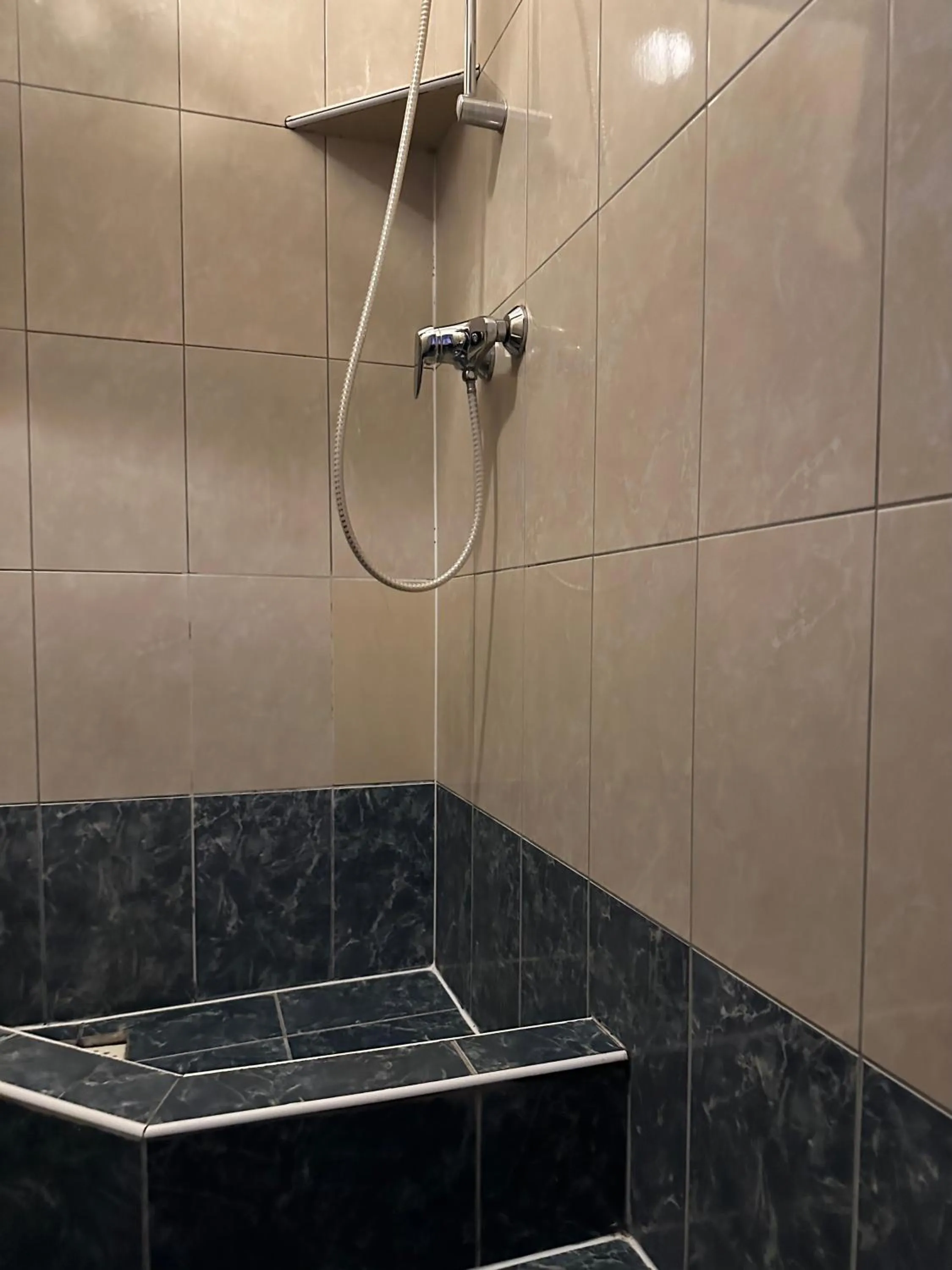 Shower in Hotel Haga