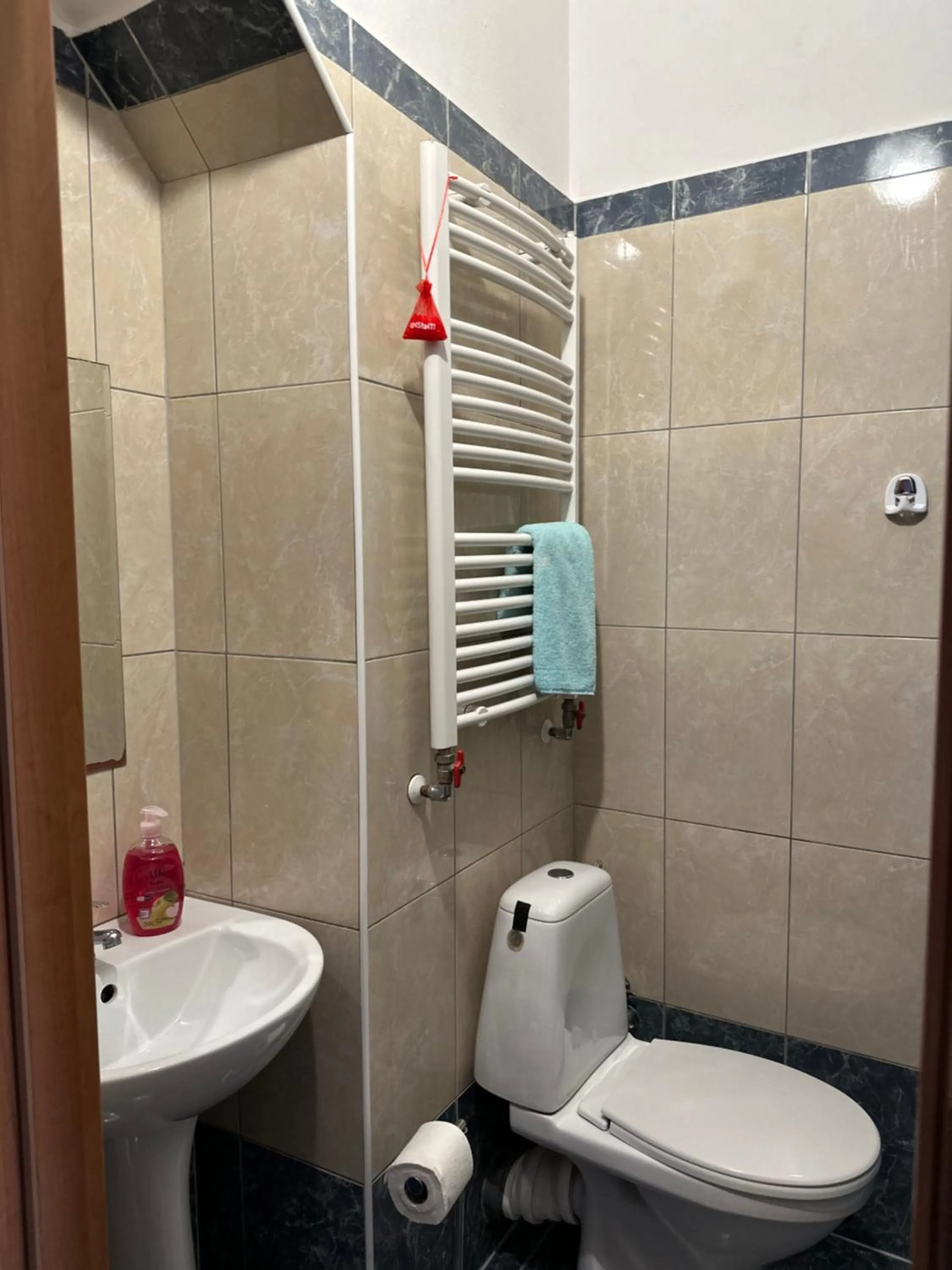 Shower in Hotel Haga