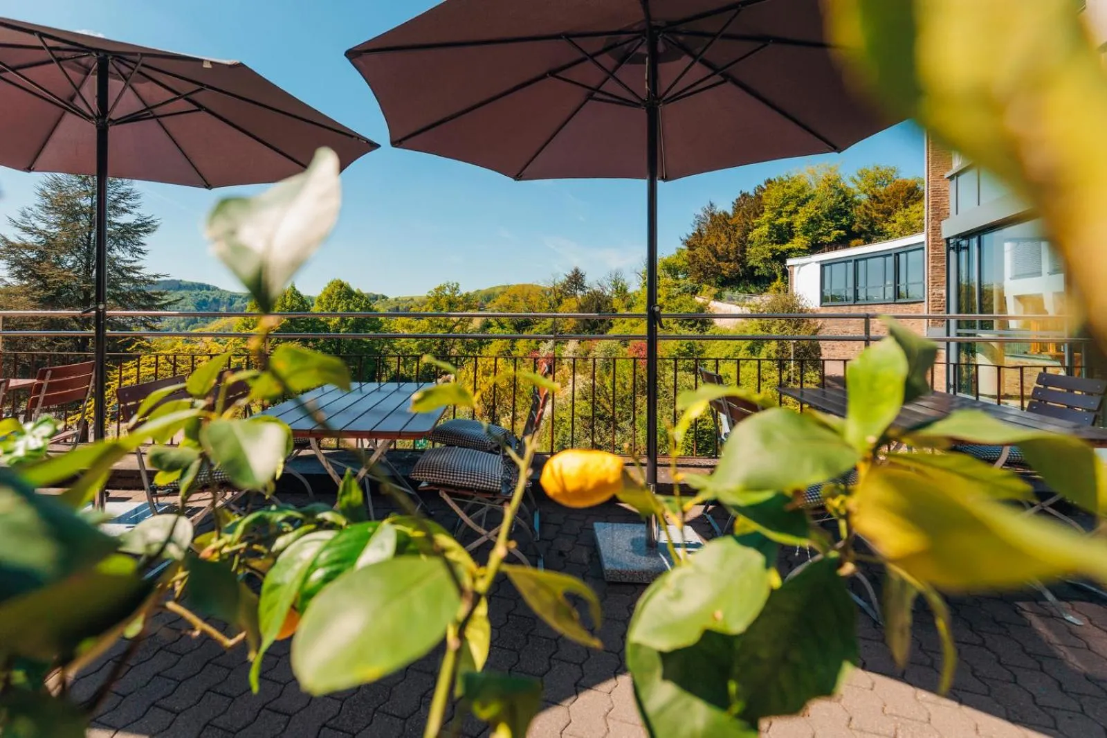 Rosa Flesch Hotel und Tagungszentrum
