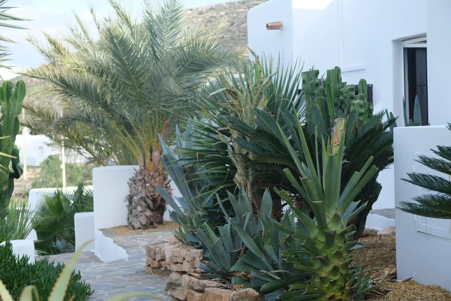 Property building in La Almendra y El Gitano