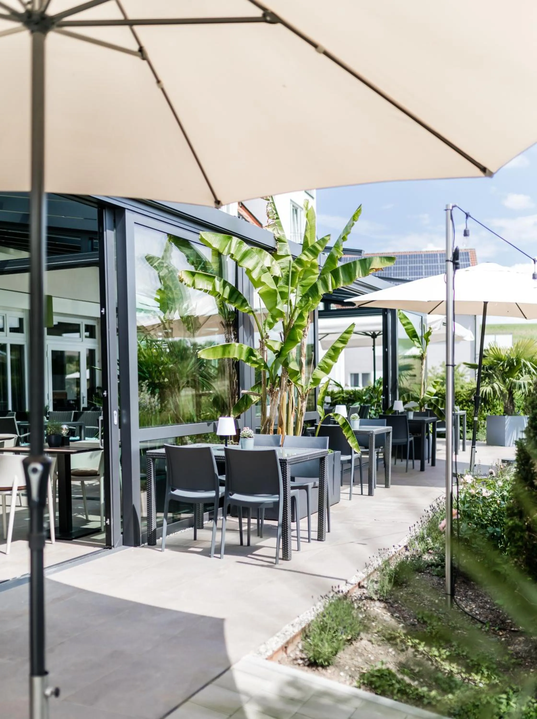 Balcony/Terrace in Landhotel Rügheim