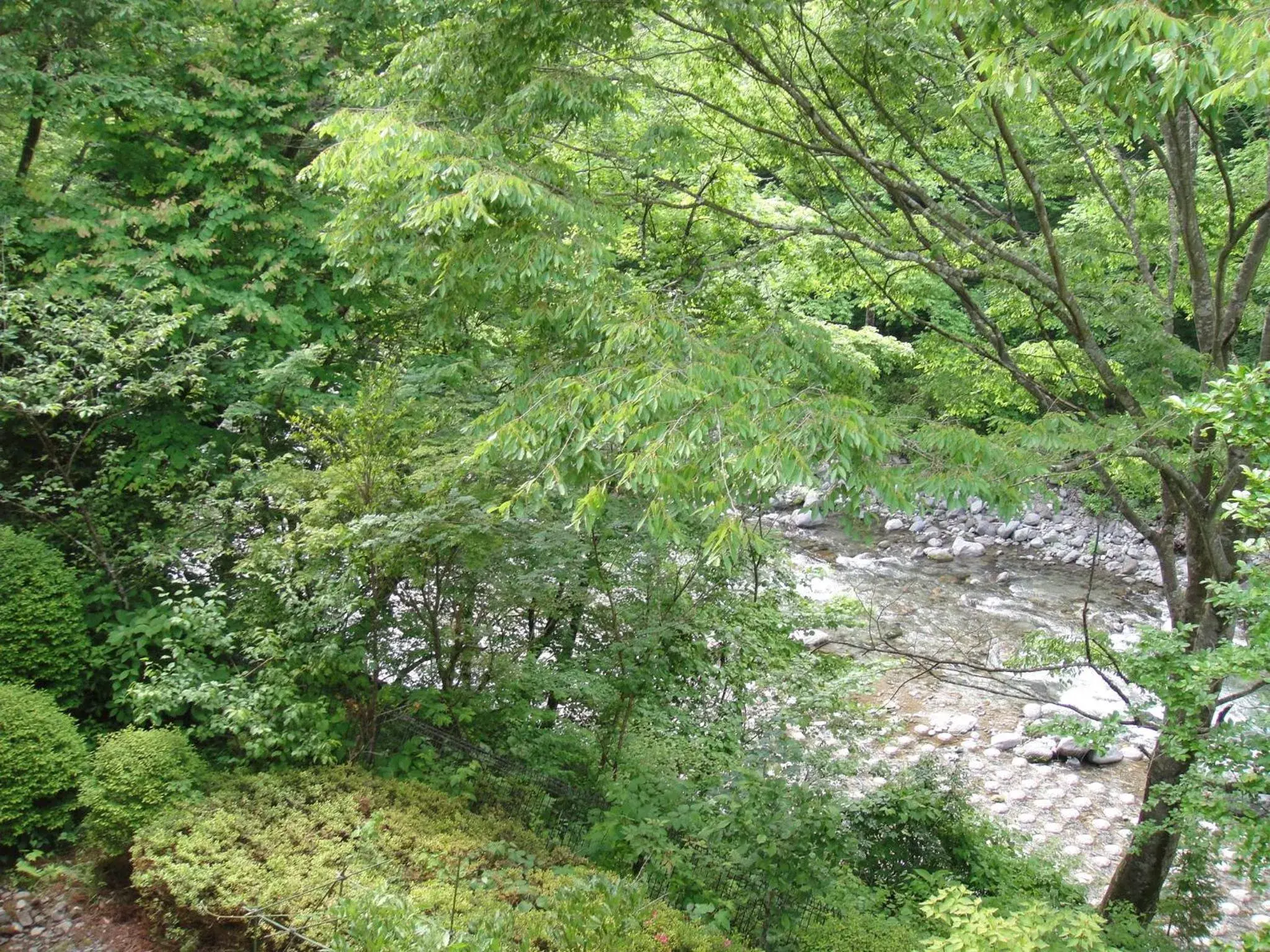 River view in Annex Turtle Hotori-An River view in Annex Turtle Hotori-An