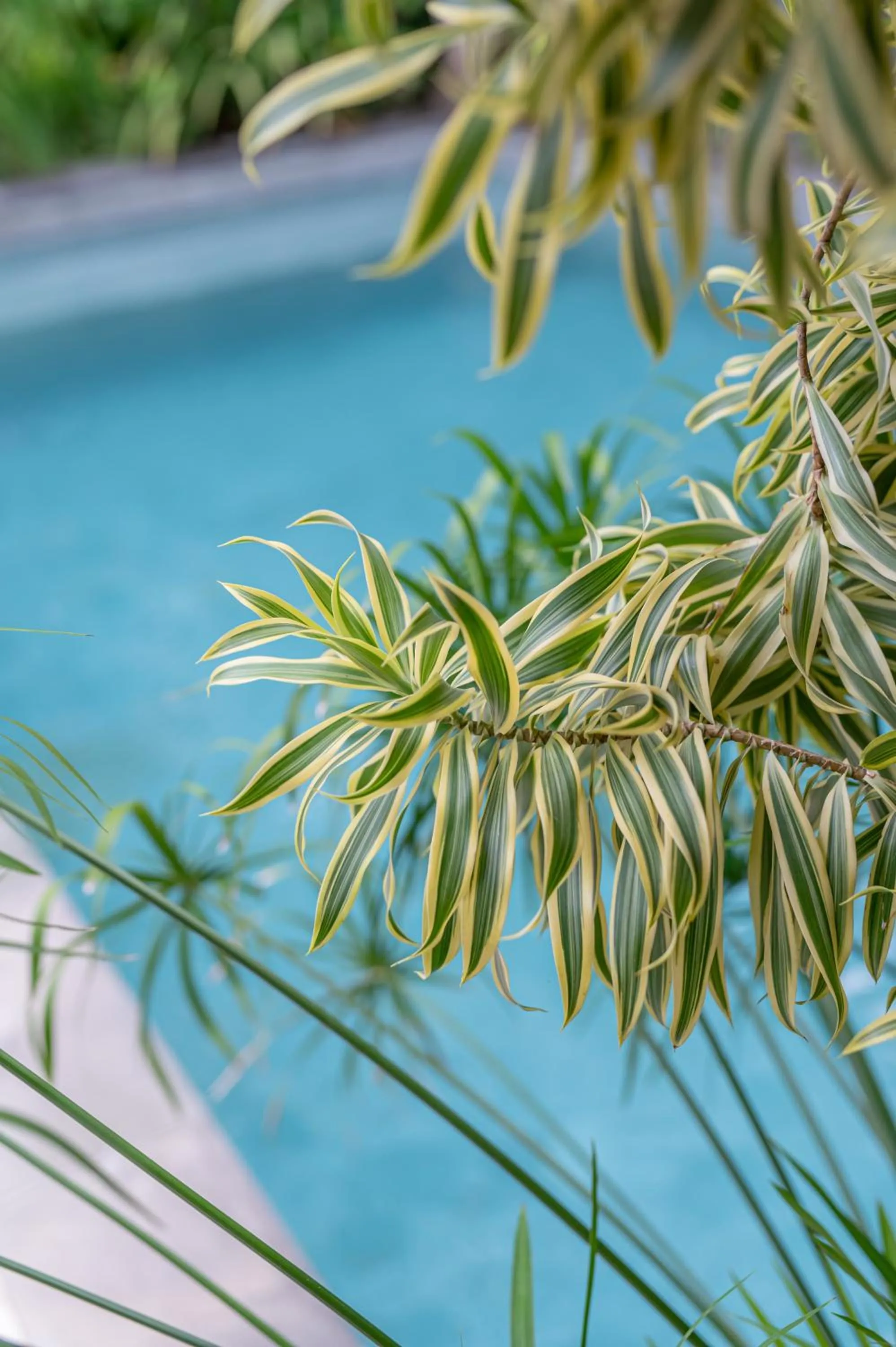 Landmark view in Villa Coco Bali