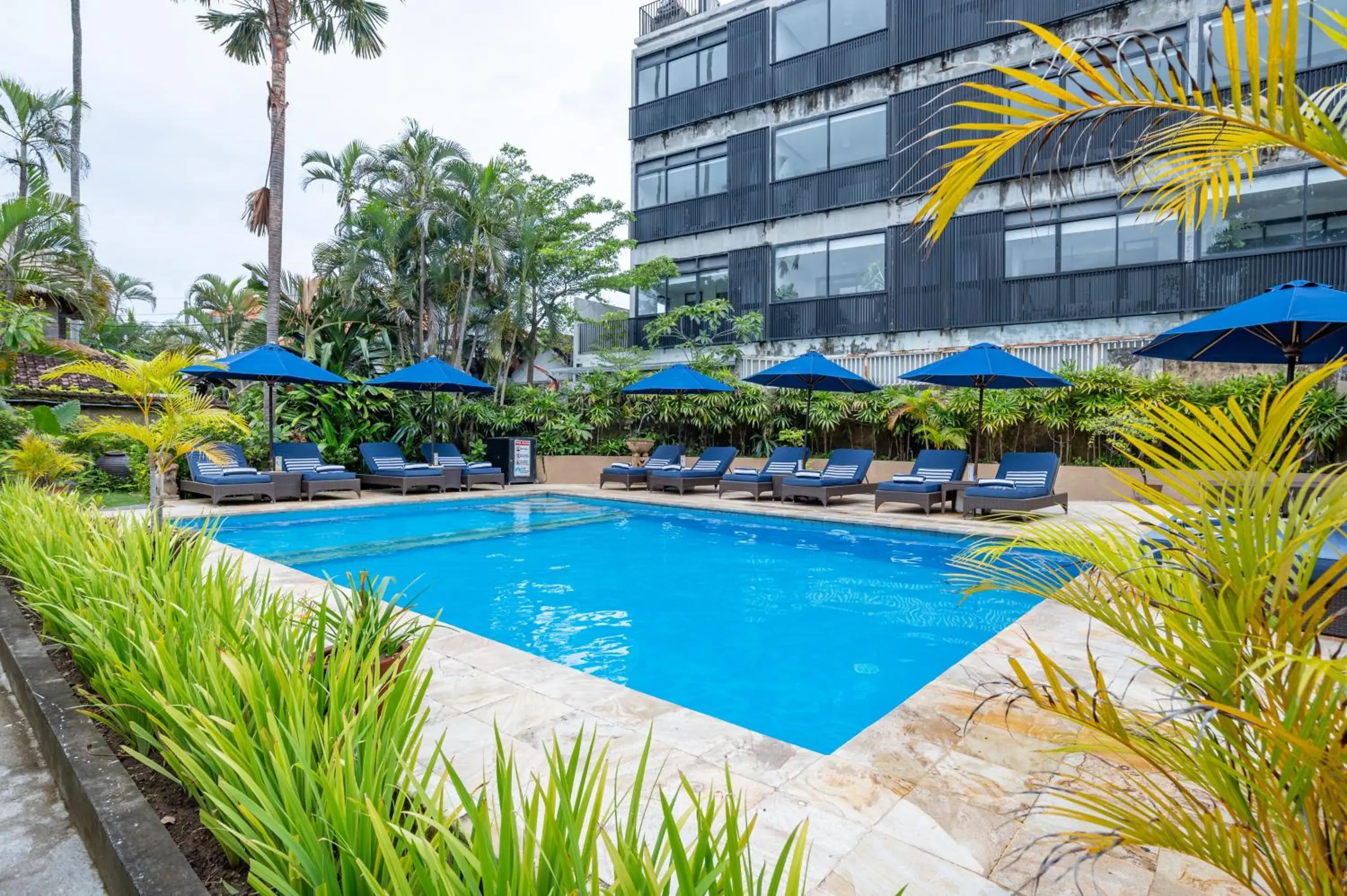 Swimming pool in Villa Coco Bali Swimming pool in Villa Coco Bali