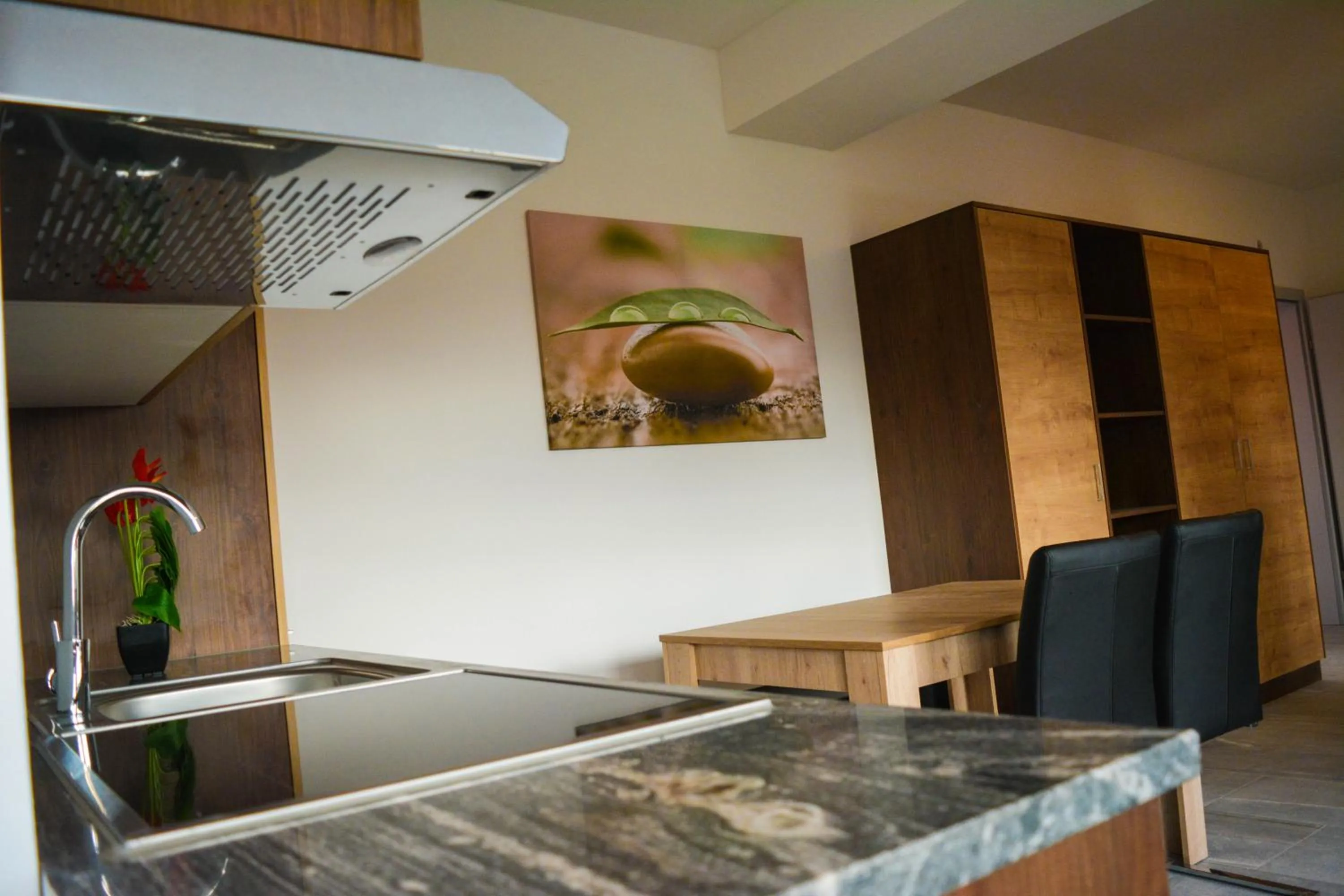 Kitchen or kitchenette in Wels Inn Hotel