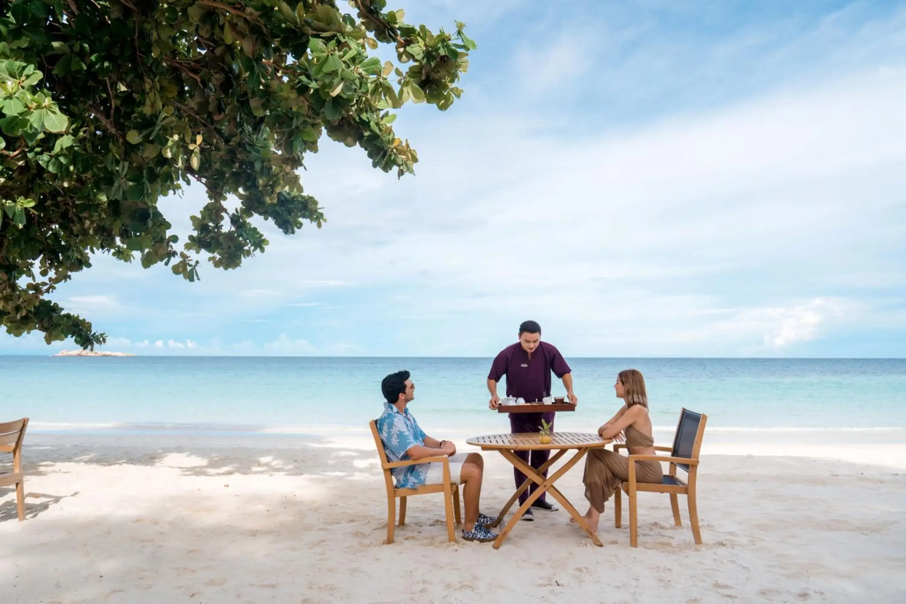 Restaurant/places to eat in Paradee Restaurant/places to eat in Paradee