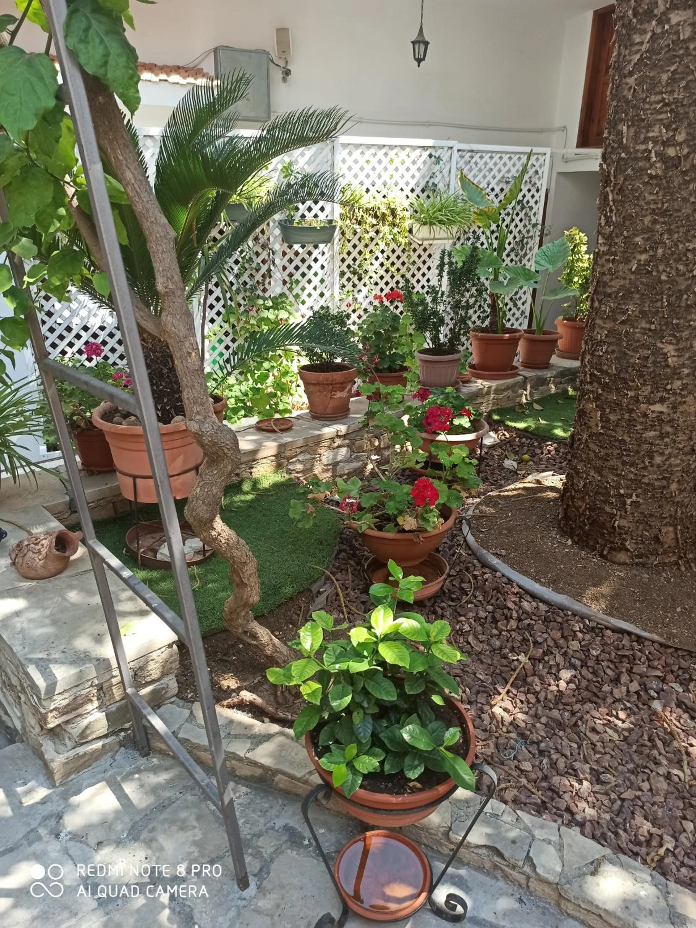Patio in Lefkara Hotel