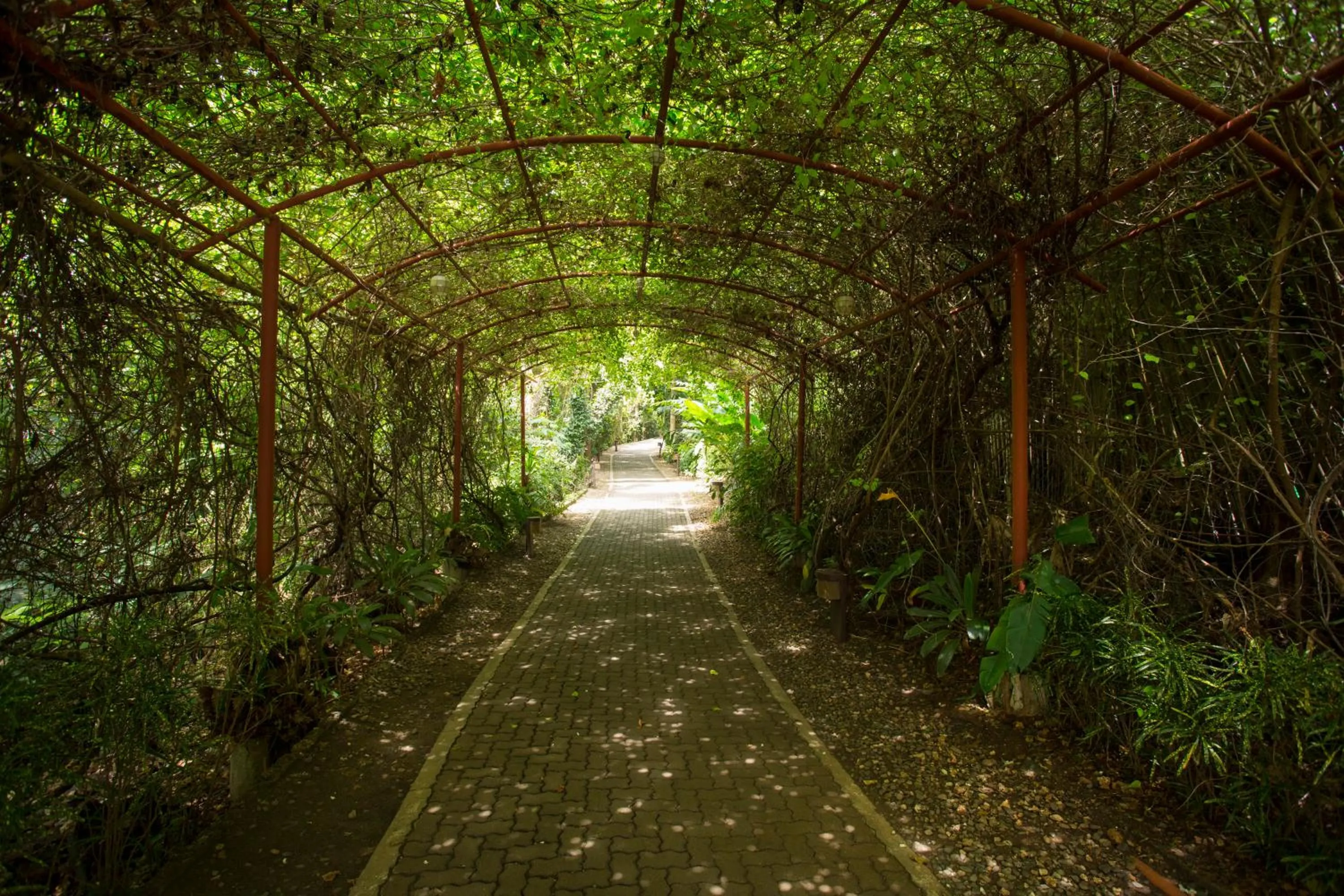Garden in Mandala Spa & Resort Villas
