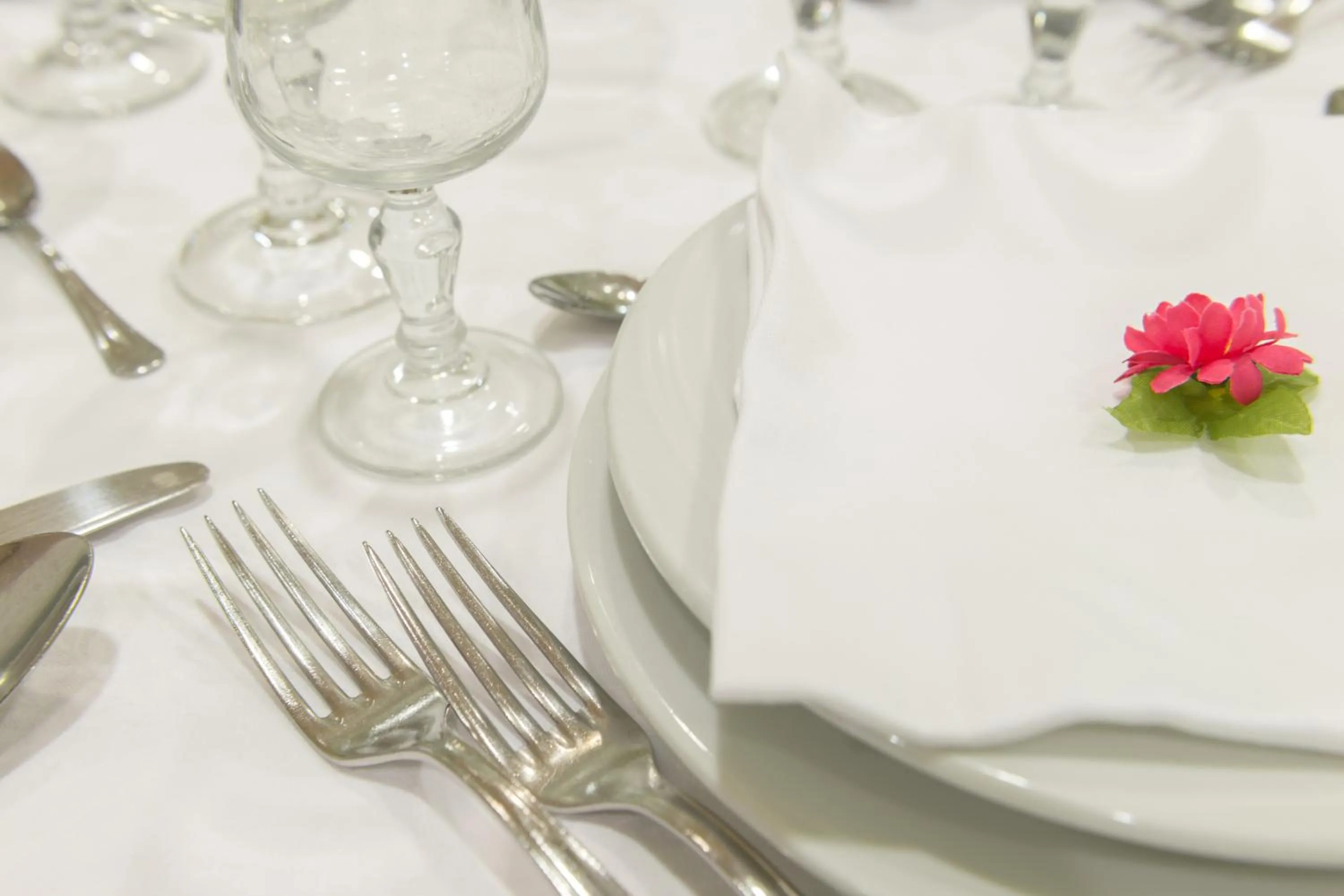 Restaurant/places to eat in Hotel San Pietro