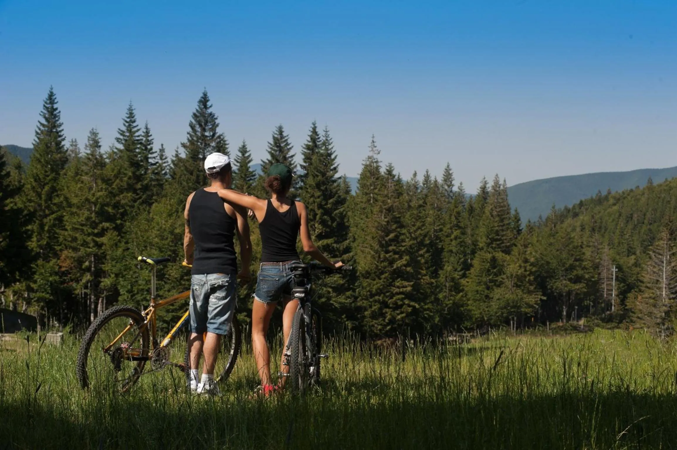 Natural landscape in Val di Luce SPA Resort