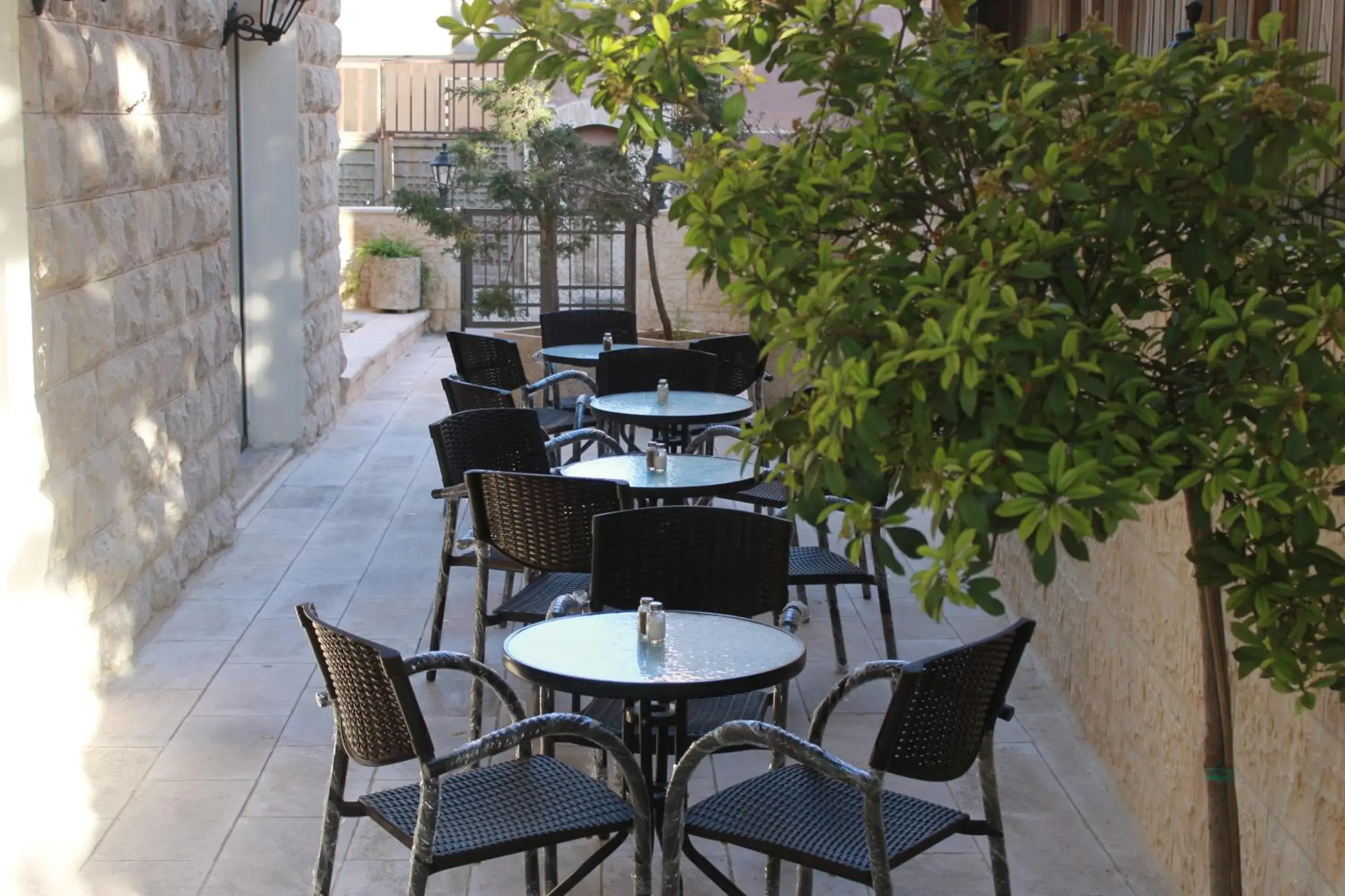 Garden in Jabal Amman Hotel (Heritage House)