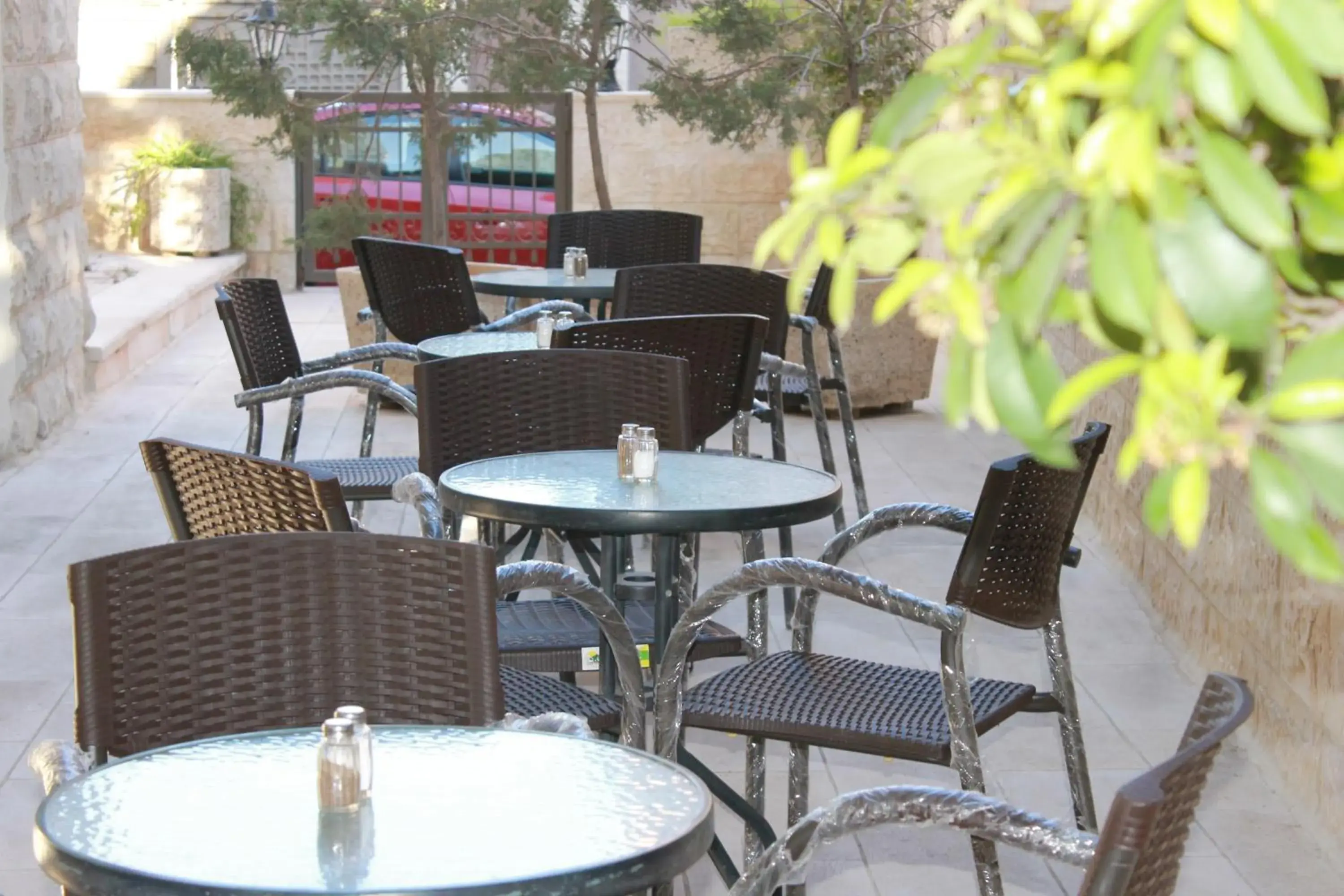 Garden in Jabal Amman Hotel (Heritage House)