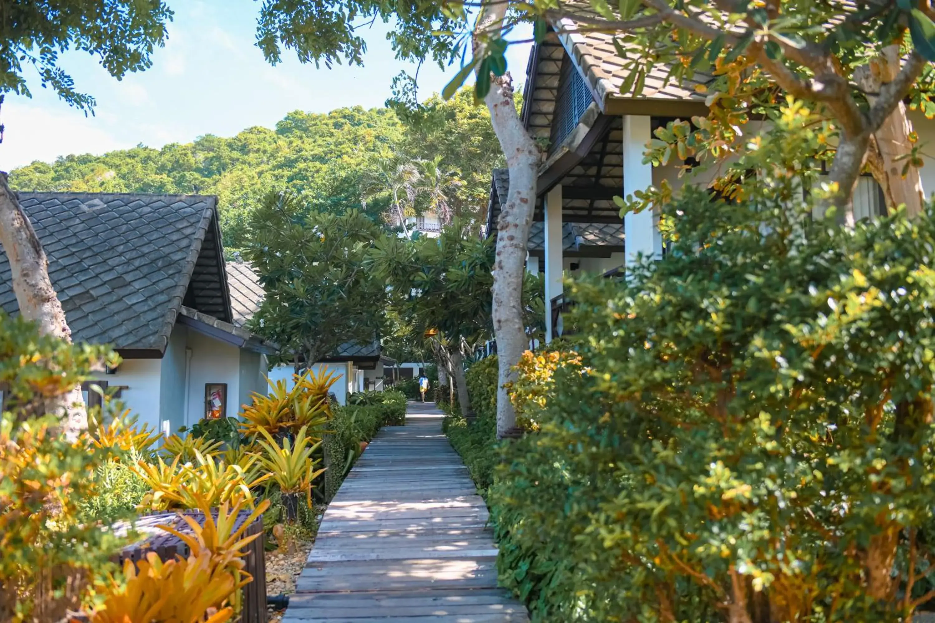 Property building in Ao Prao Resort Property building in Ao Prao Resort