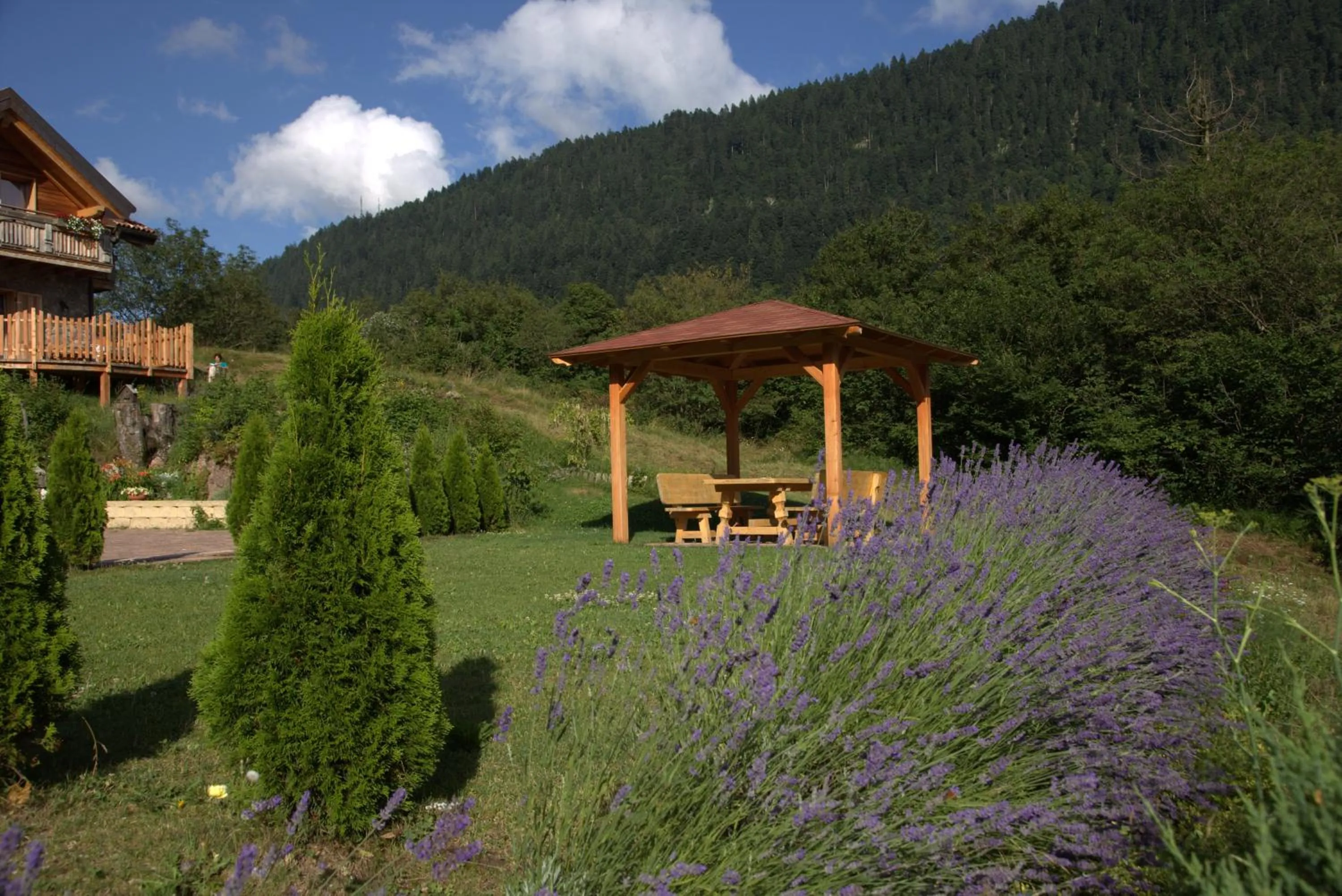 Property building in Agriturismo Ai Castioni