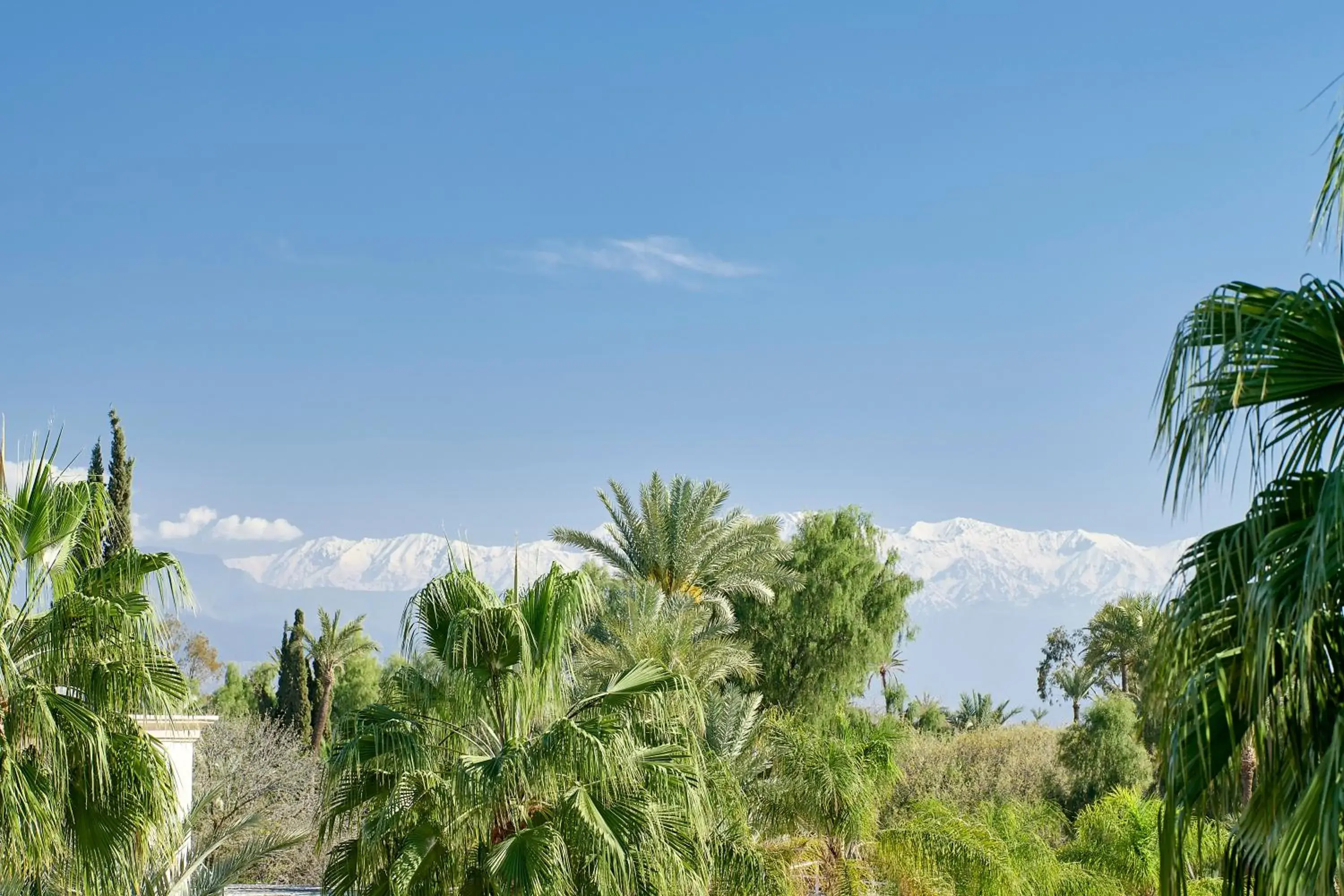 View (from property/room) in Iberostar Waves Club Palmeraie Marrakech All Inclusive View (from property/room) in Iberostar Waves Club Palmeraie Marrakech All Inclusive