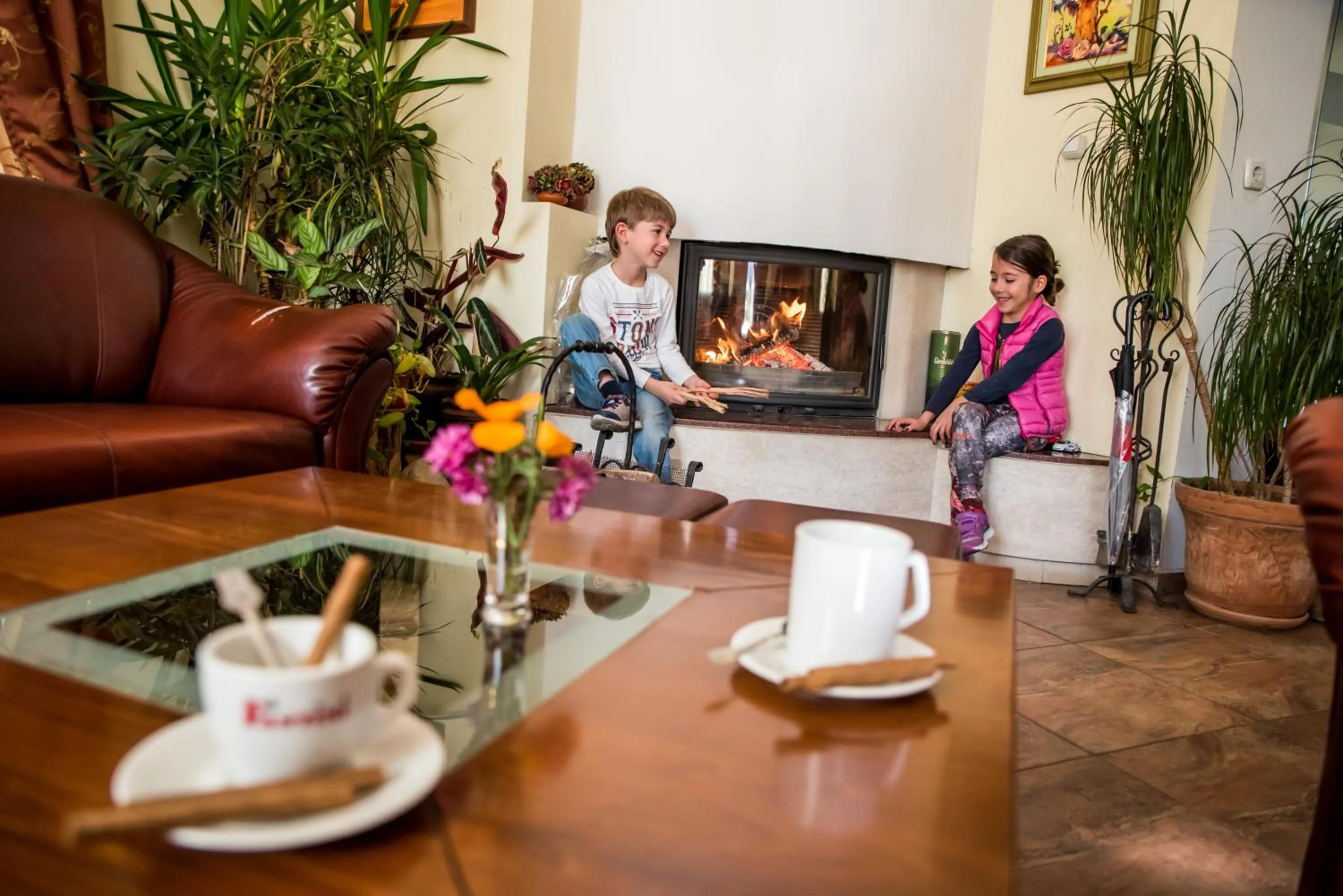 Lobby or reception in Bariakov Family Hotel