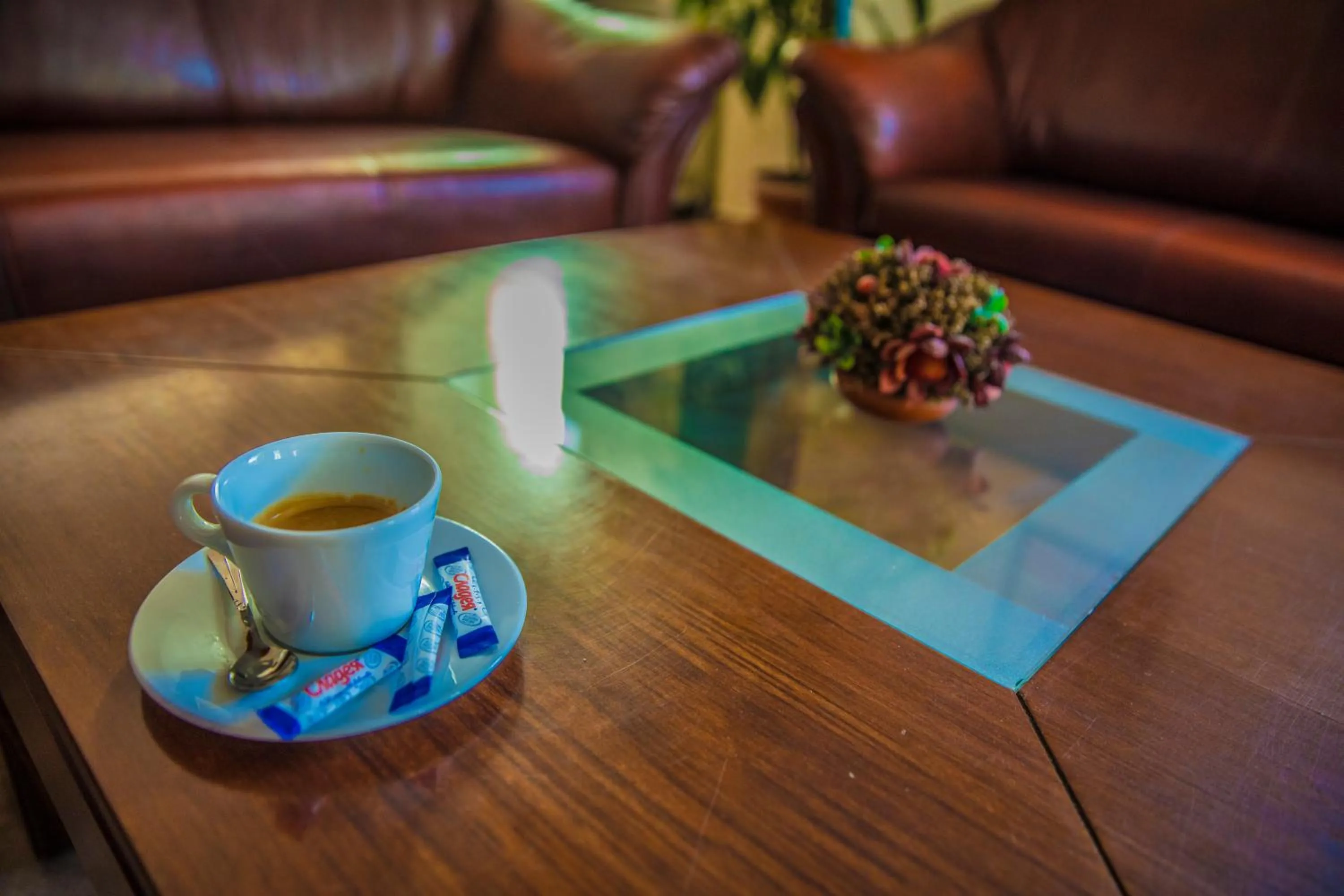 Non alcoholic drinks in Bariakov Family Hotel