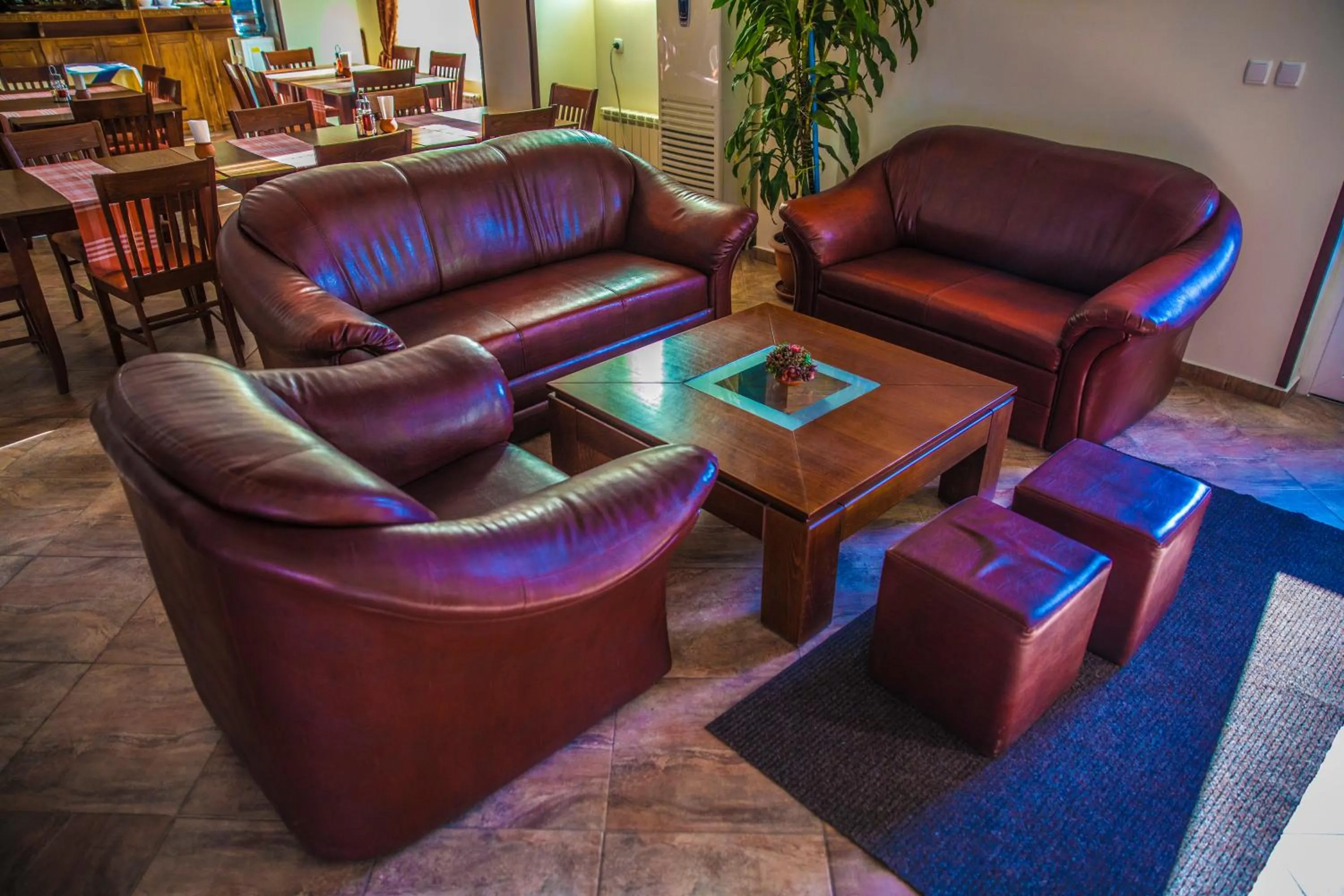 Lobby or reception in Bariakov Family Hotel