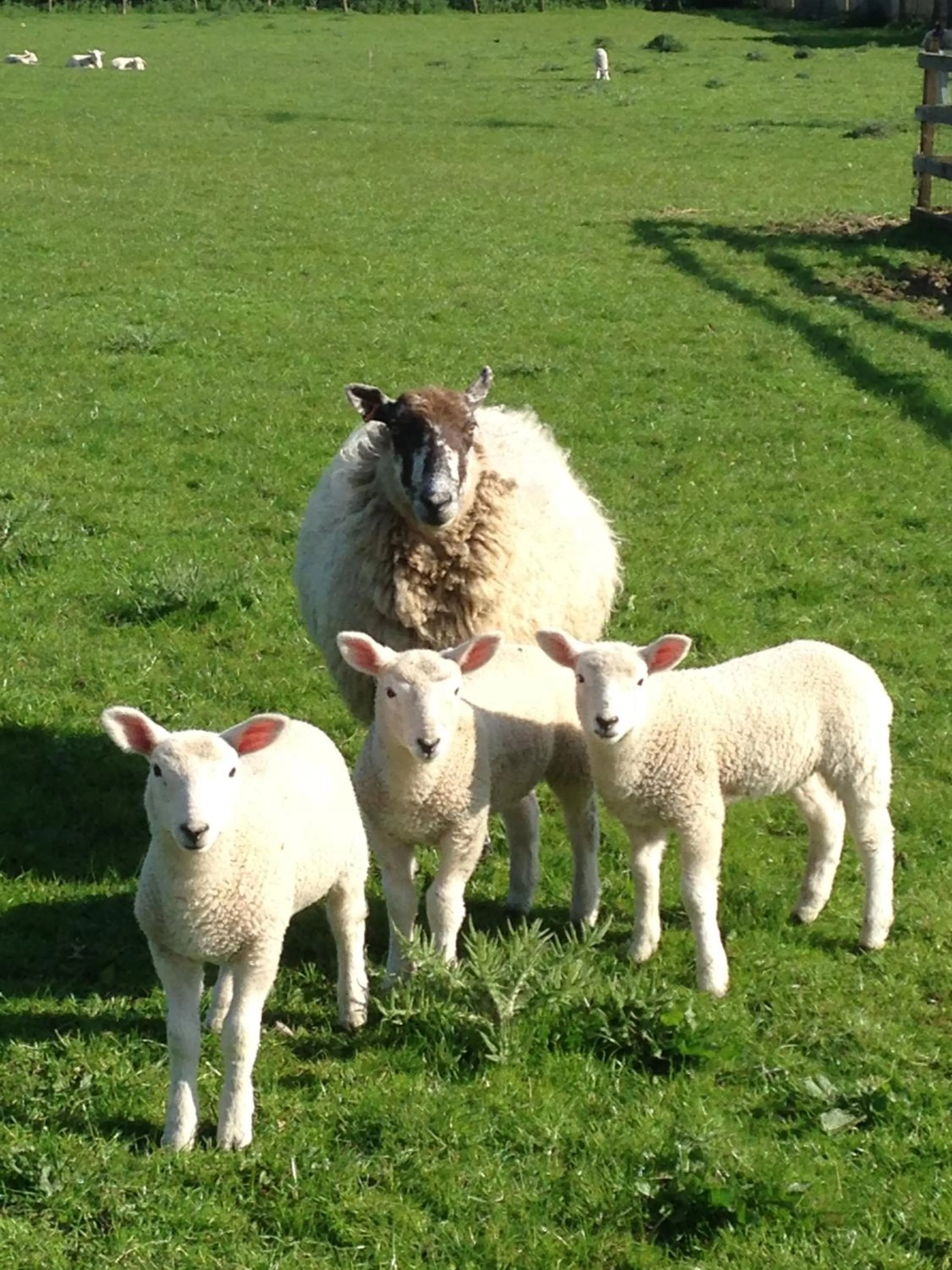 The Stables at the Vale