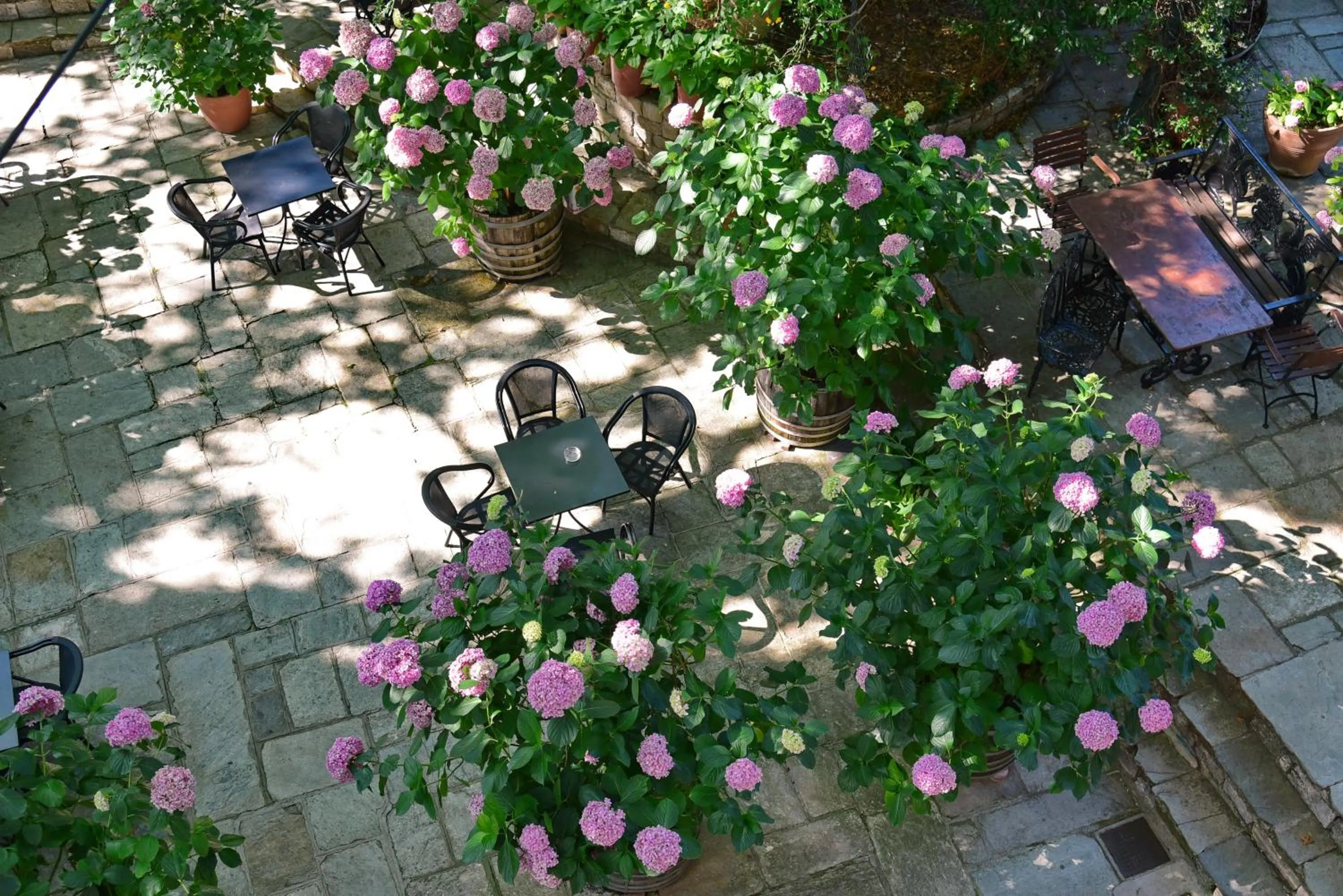 Property building in Hotel Filoxenia