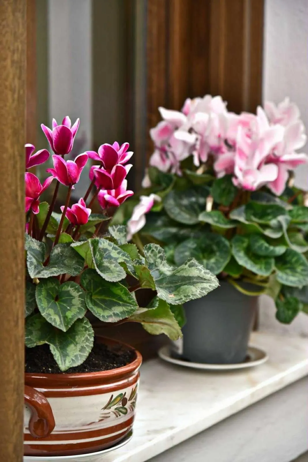 Property building in Hotel Filoxenia