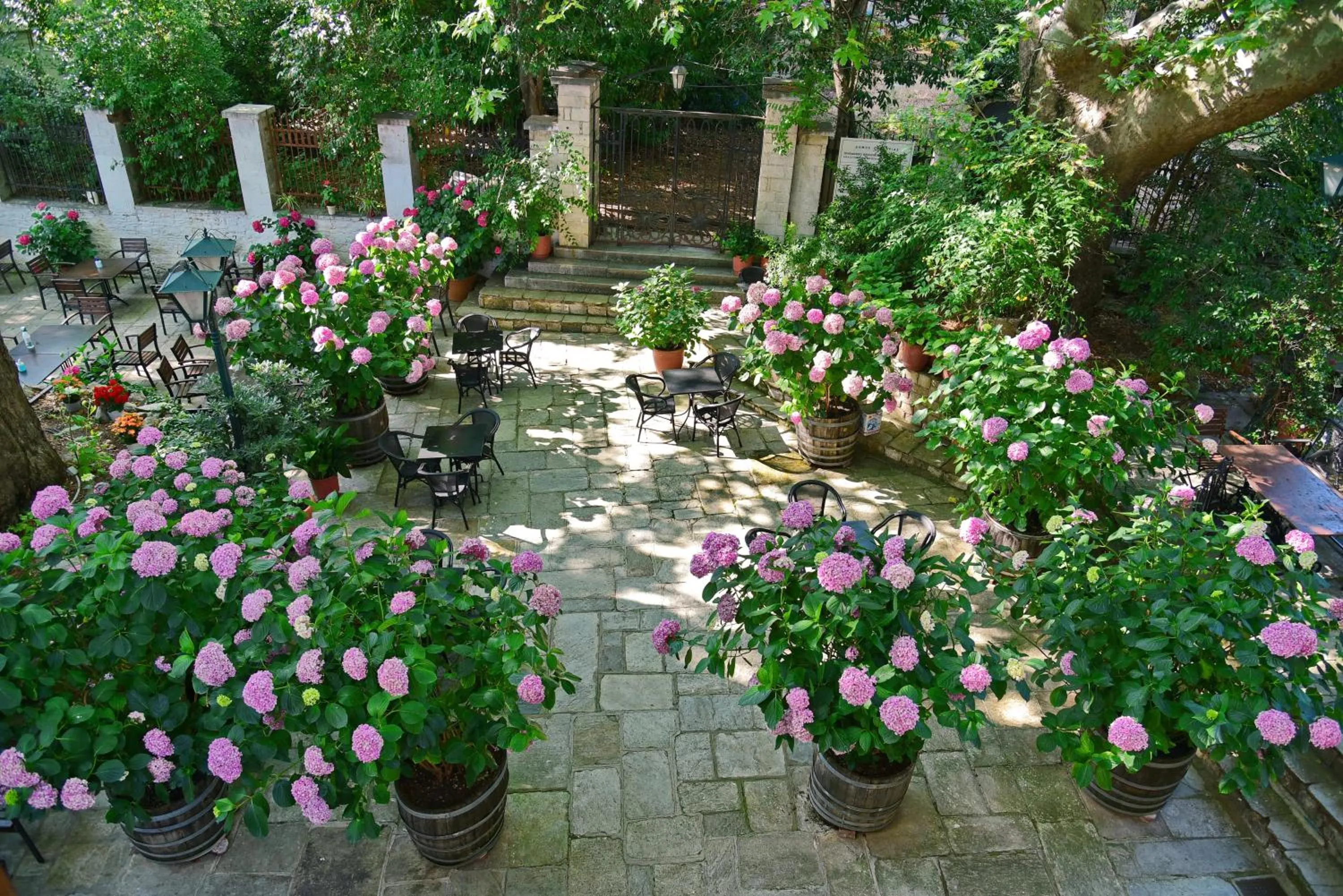 Garden in Hotel Filoxenia