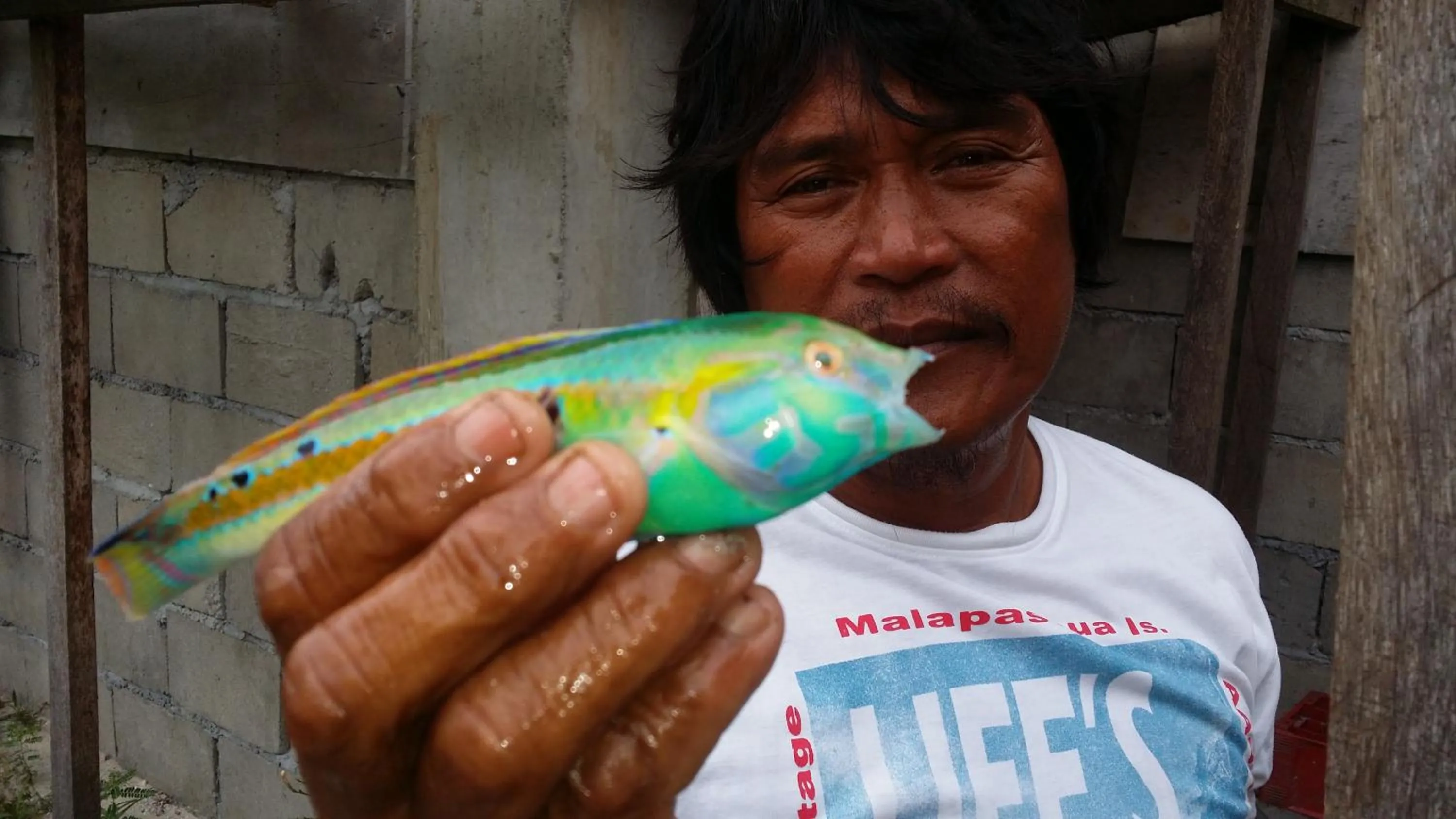 AABANA Beach & Watersport Resort