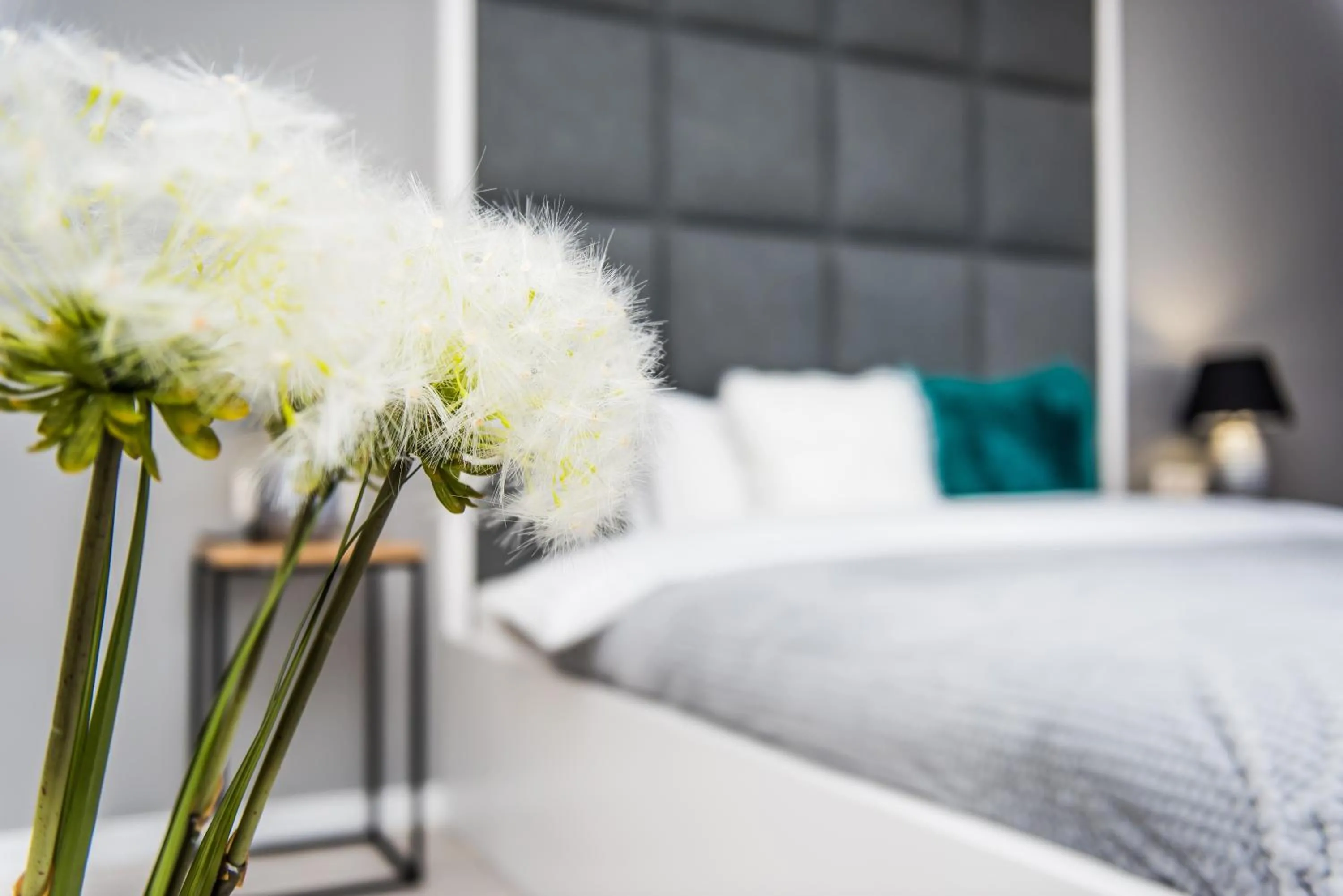 Superior Apartment - single occupancy - 120/2 in Bed&Bath Luxury Apartments