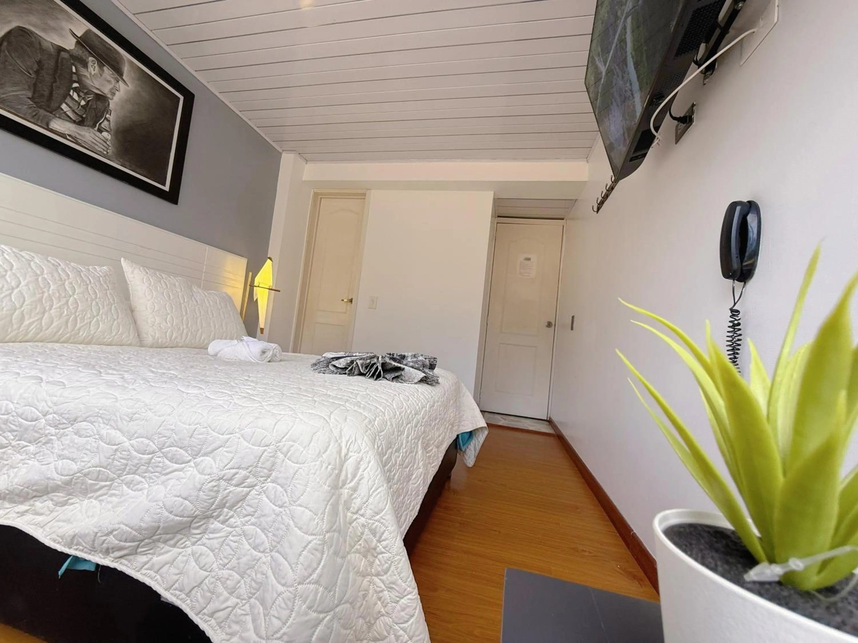 Standard Double Room - single occupancy in Hotel Casa Loma