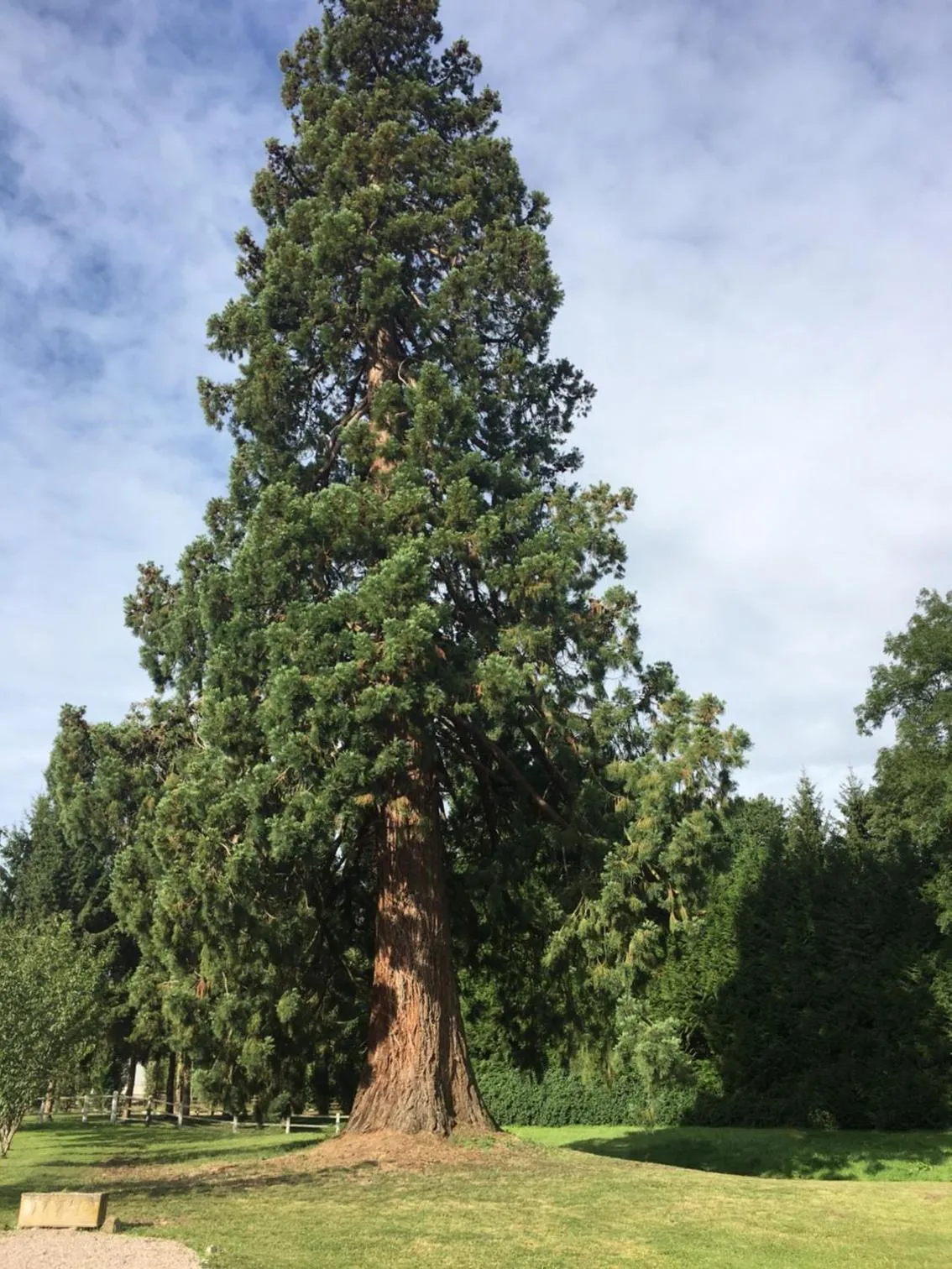 Le Manoir du Ribardon