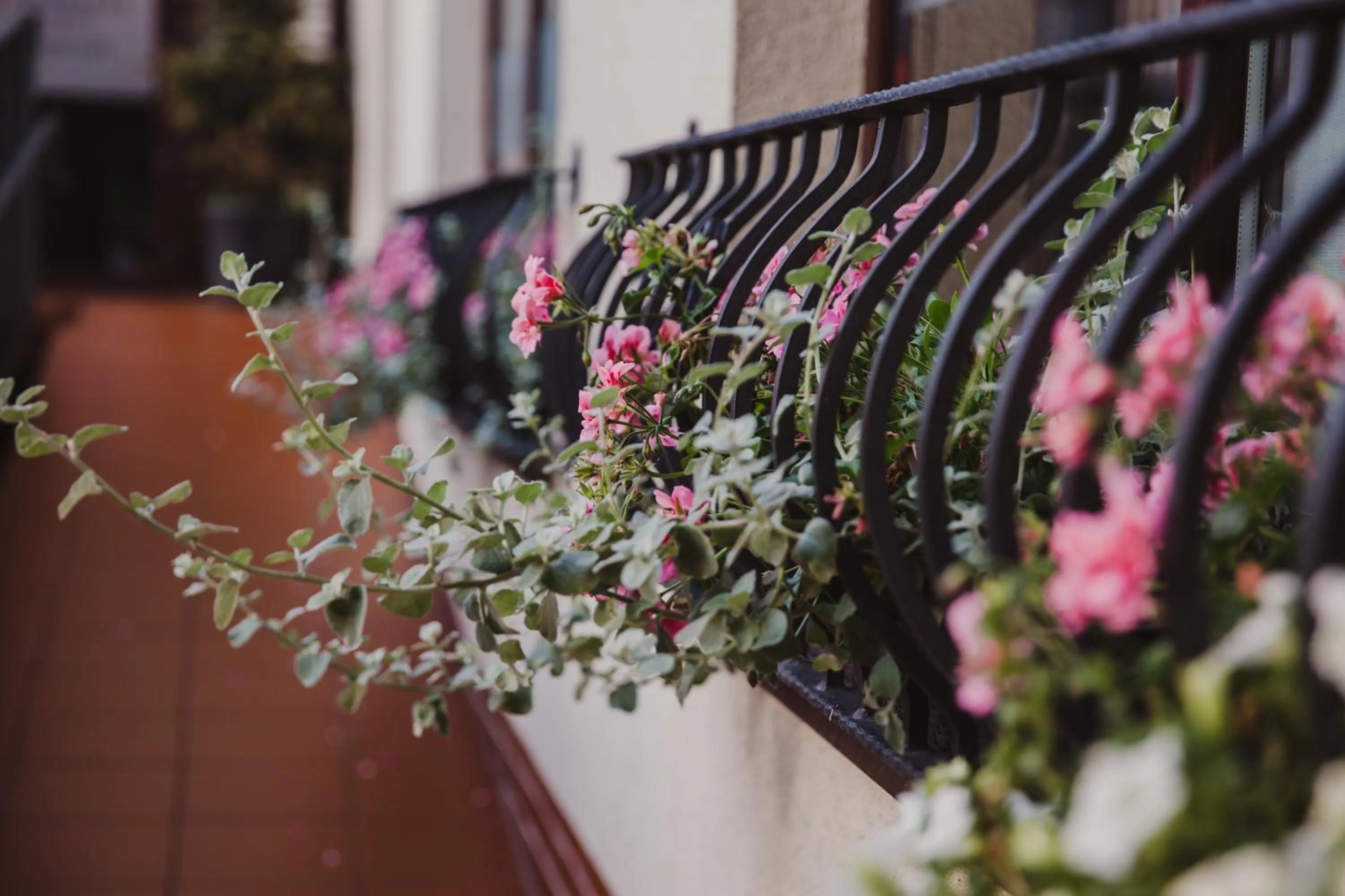Decorative detail in Hotel Walewscy