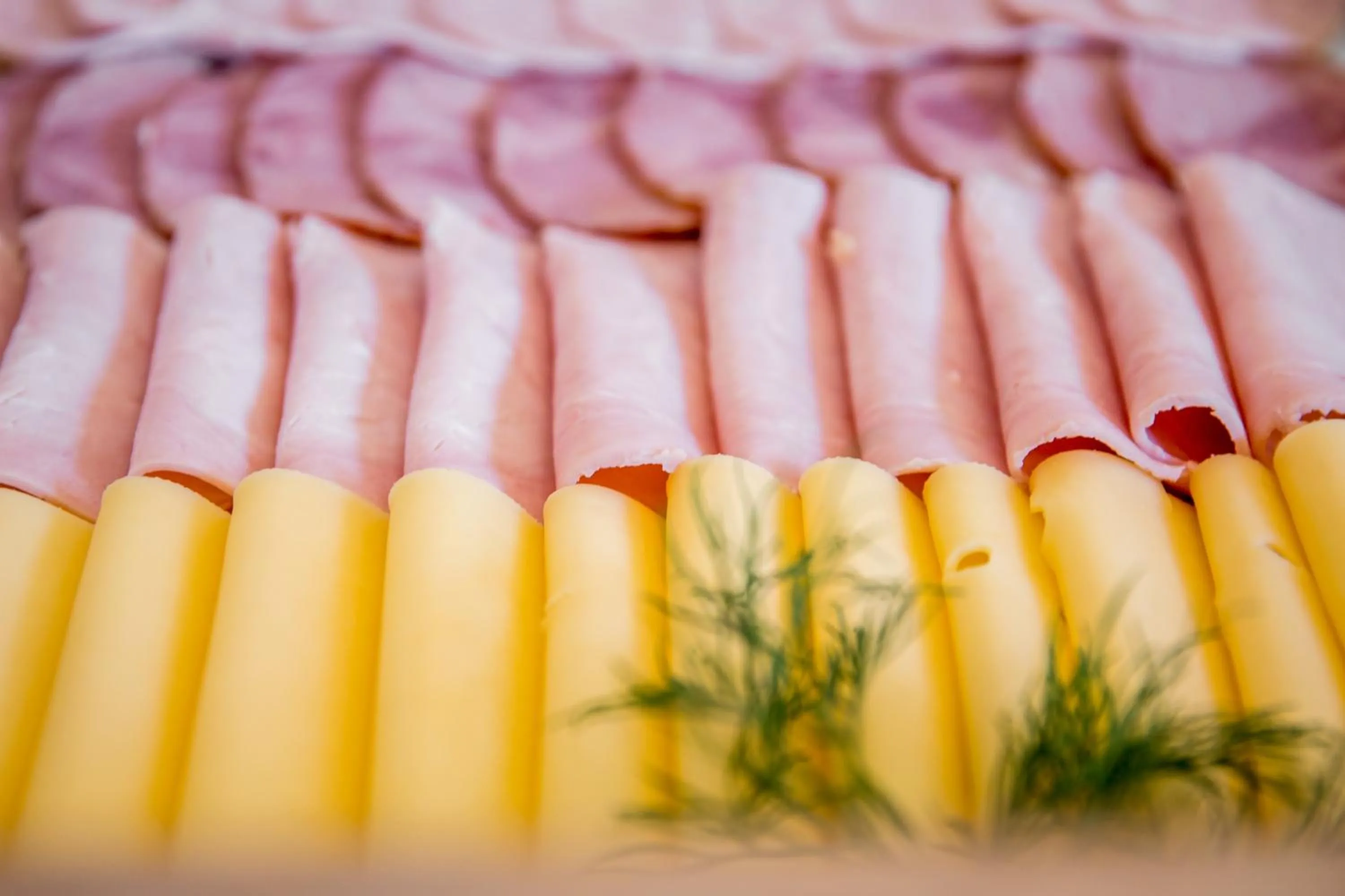 Restaurant/places to eat in Hotel Walewscy