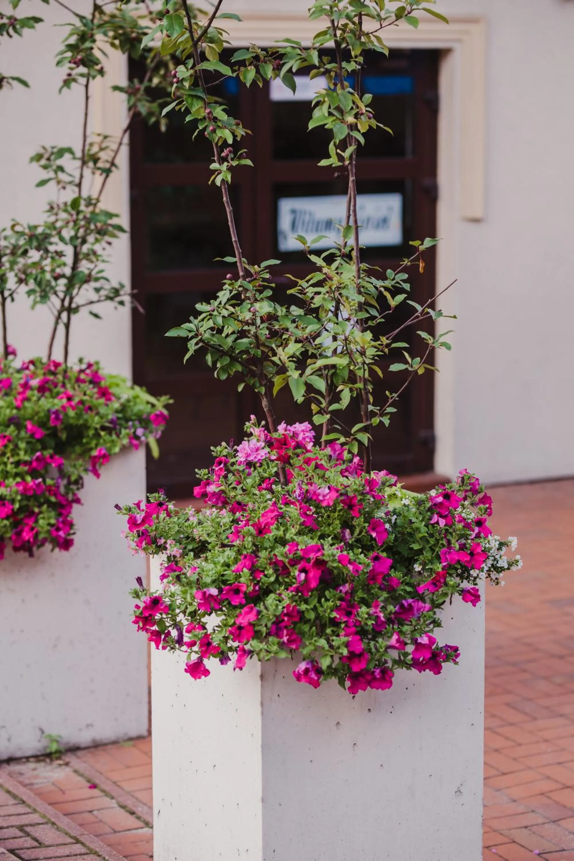 Decorative detail in Hotel Walewscy