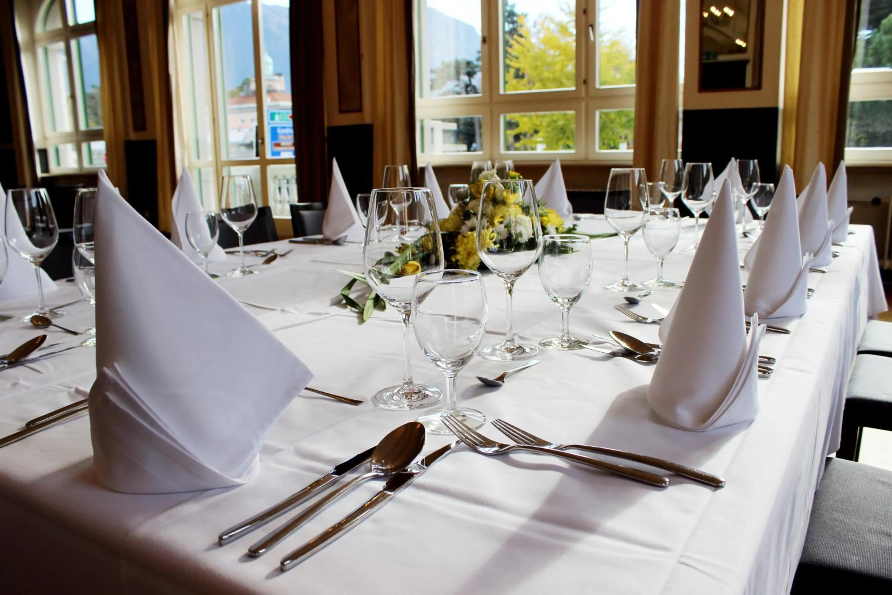 Banquet/Function facilities in Hotel Pestalozzi Lugano