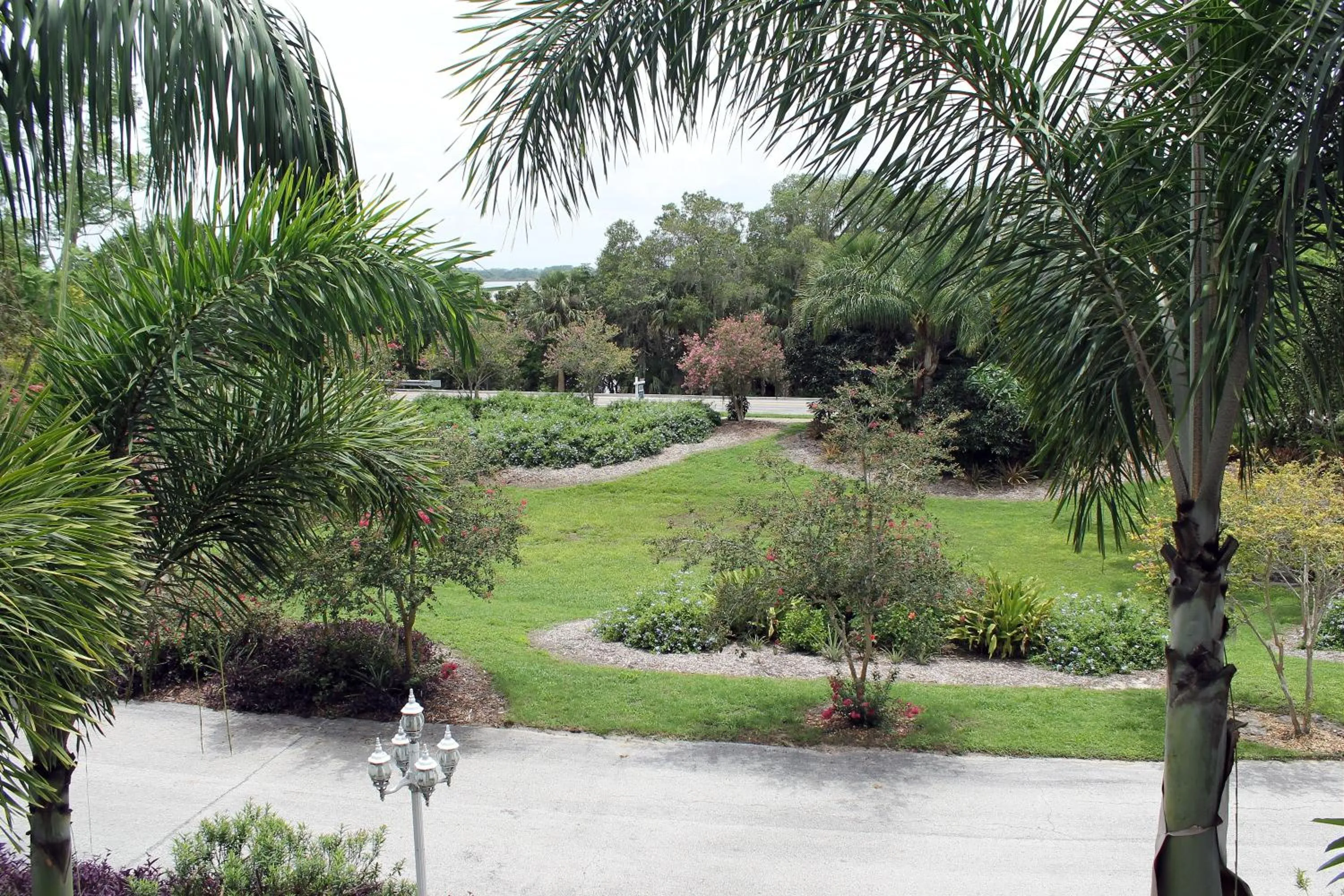 Natural landscape in Heron Cay Lakeview Bed & Breakfast