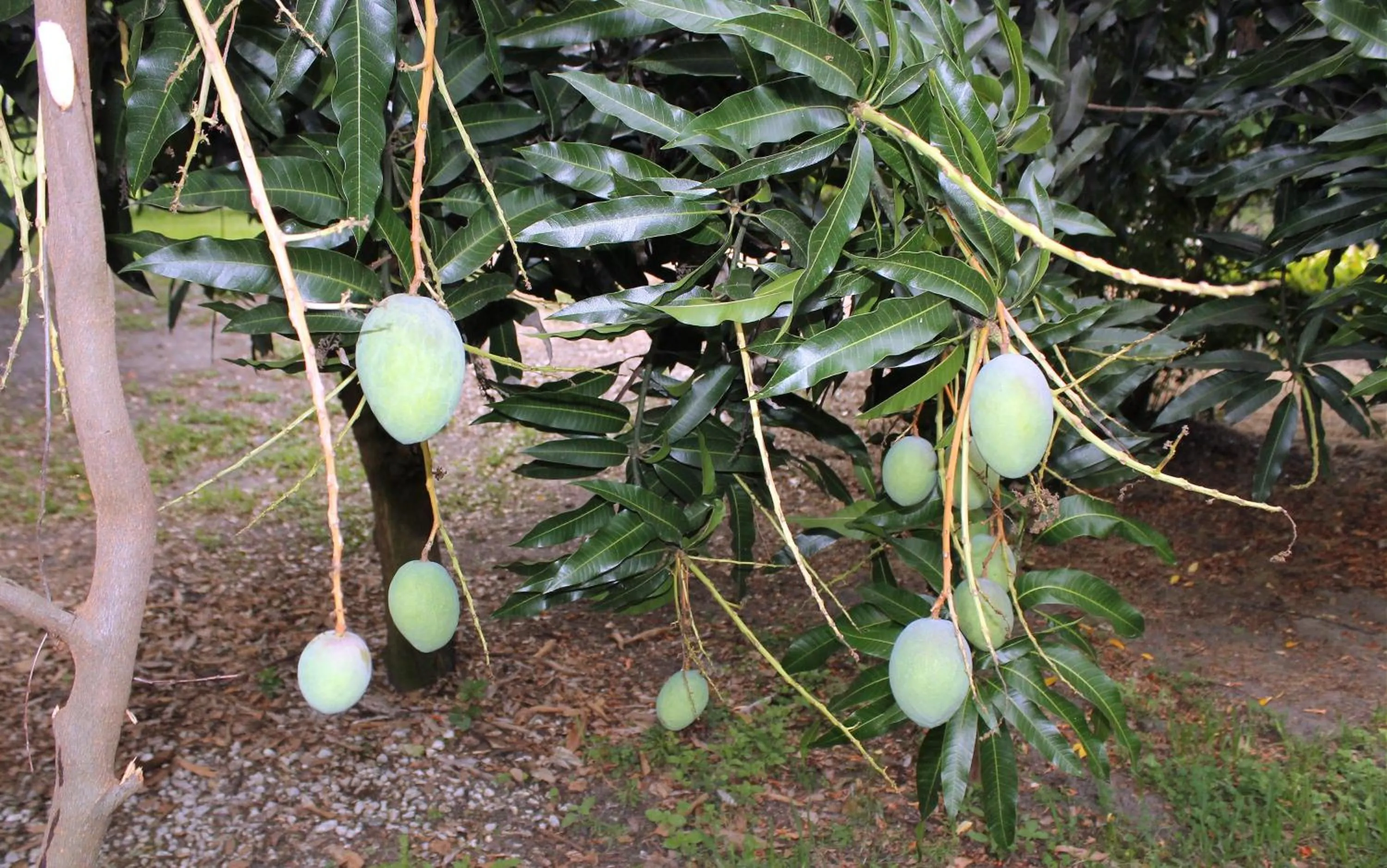 Food close-up in Heron Cay Lakeview Bed & Breakfast