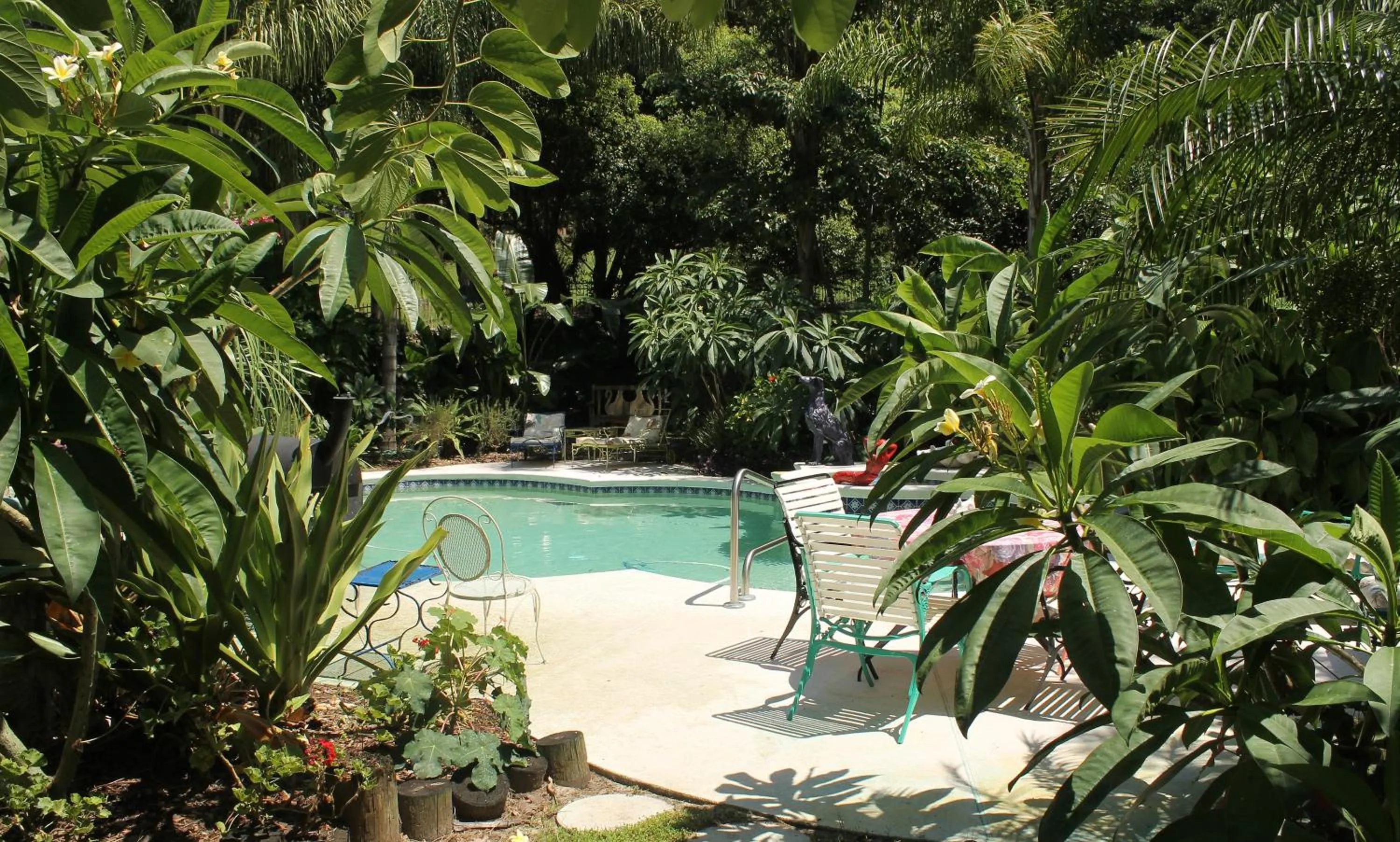 Garden in Heron Cay Lakeview Bed & Breakfast