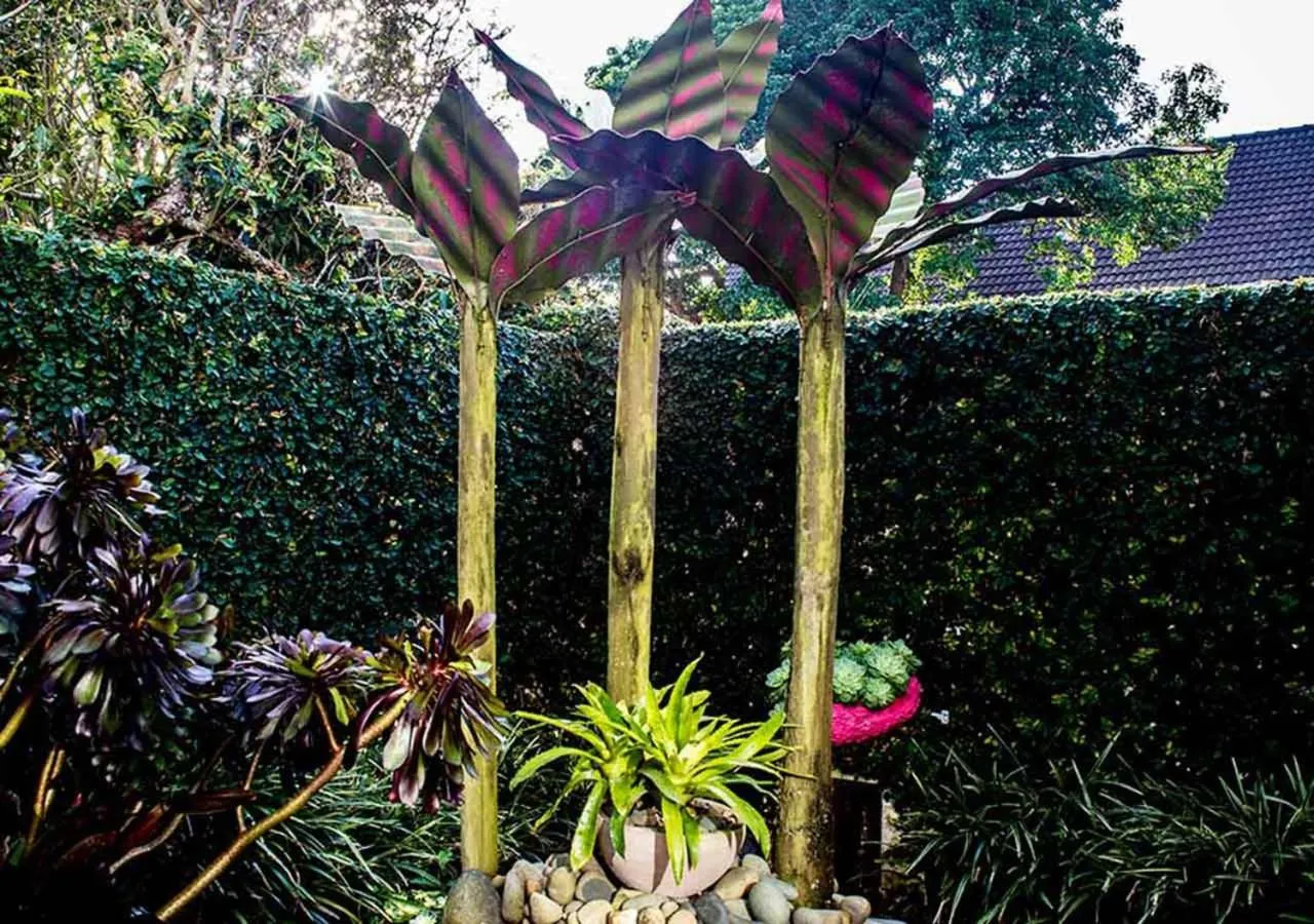 Inner courtyard view in Parnell Garden Suite