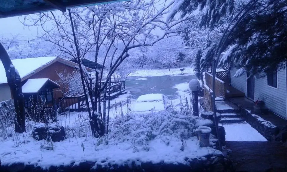 Winter in Bluesky Pension