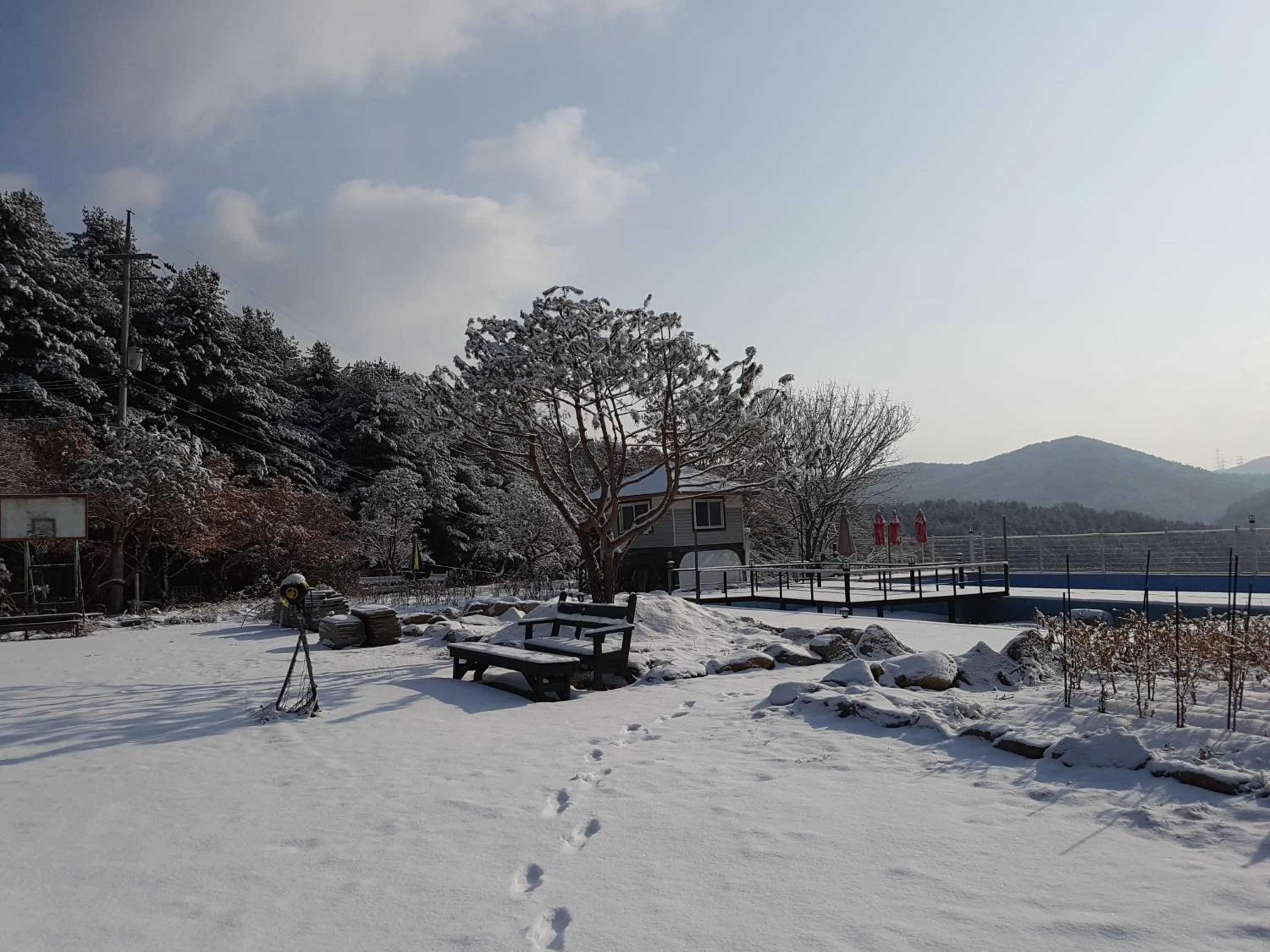 Garden view in Bluesky Pension
